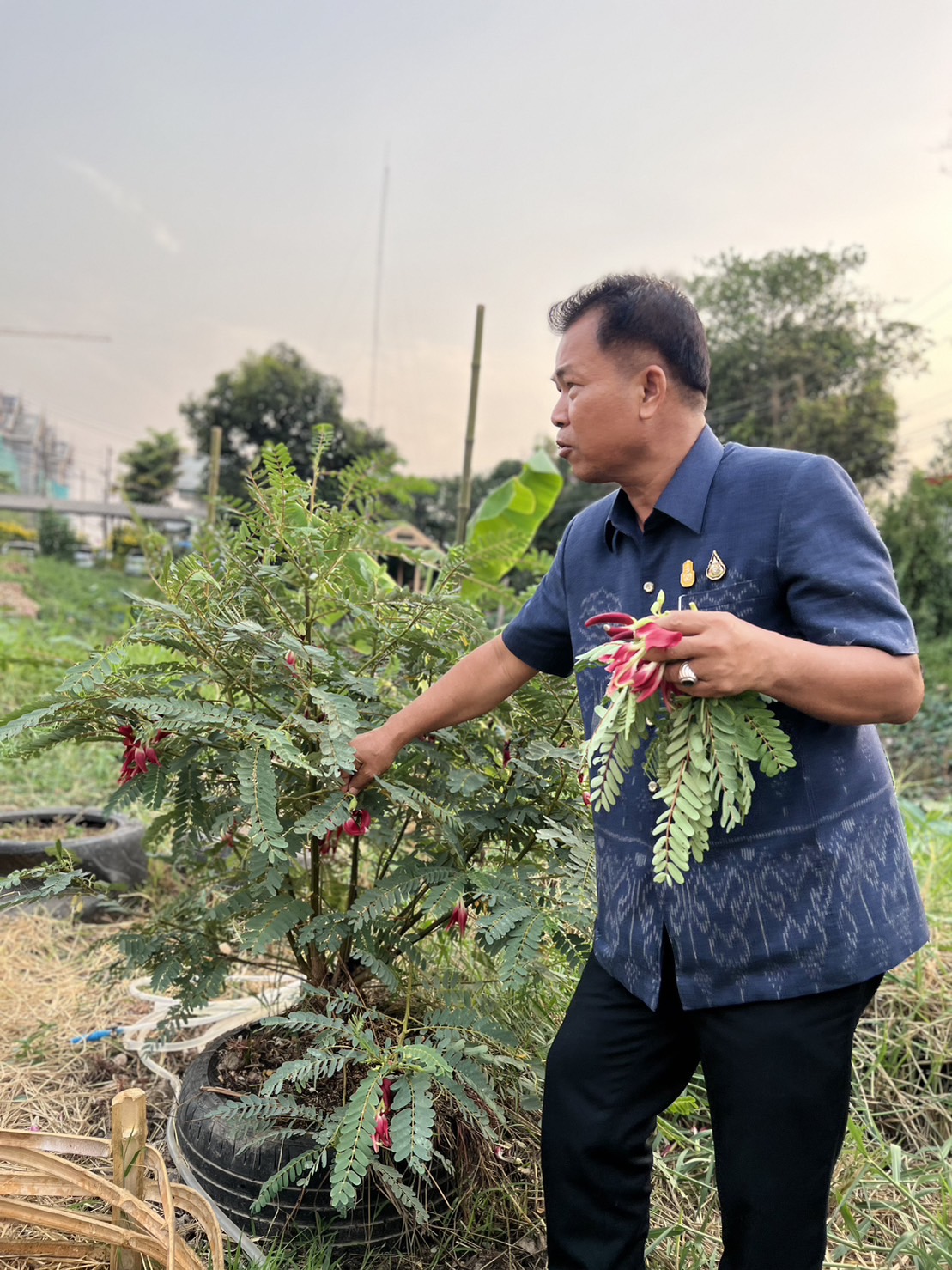 “พจ. นครนายก ชวนทีมงานสานต่อพื้นที่ว่าง สร้างอาหาร 30 ตารางวา หน้าศาลากลางจังหวัด”