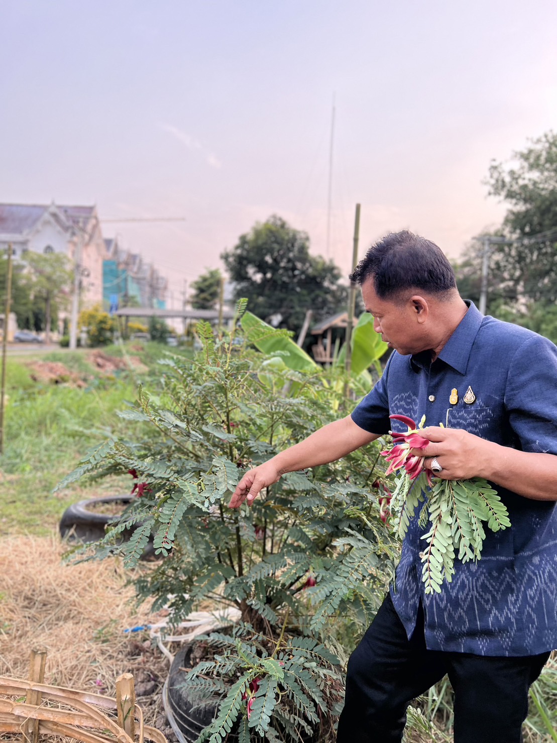 “พจ. นครนายก ชวนทีมงานสานต่อพื้นที่ว่าง สร้างอาหาร 30 ตารางวา หน้าศาลากลางจังหวัด”