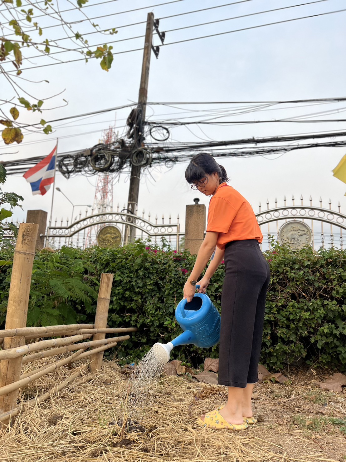 “พจ. นครนายก ชวนทีมงานสานต่อพื้นที่ว่าง สร้างอาหาร 30 ตารางวา หน้าศาลากลางจังหวัด”