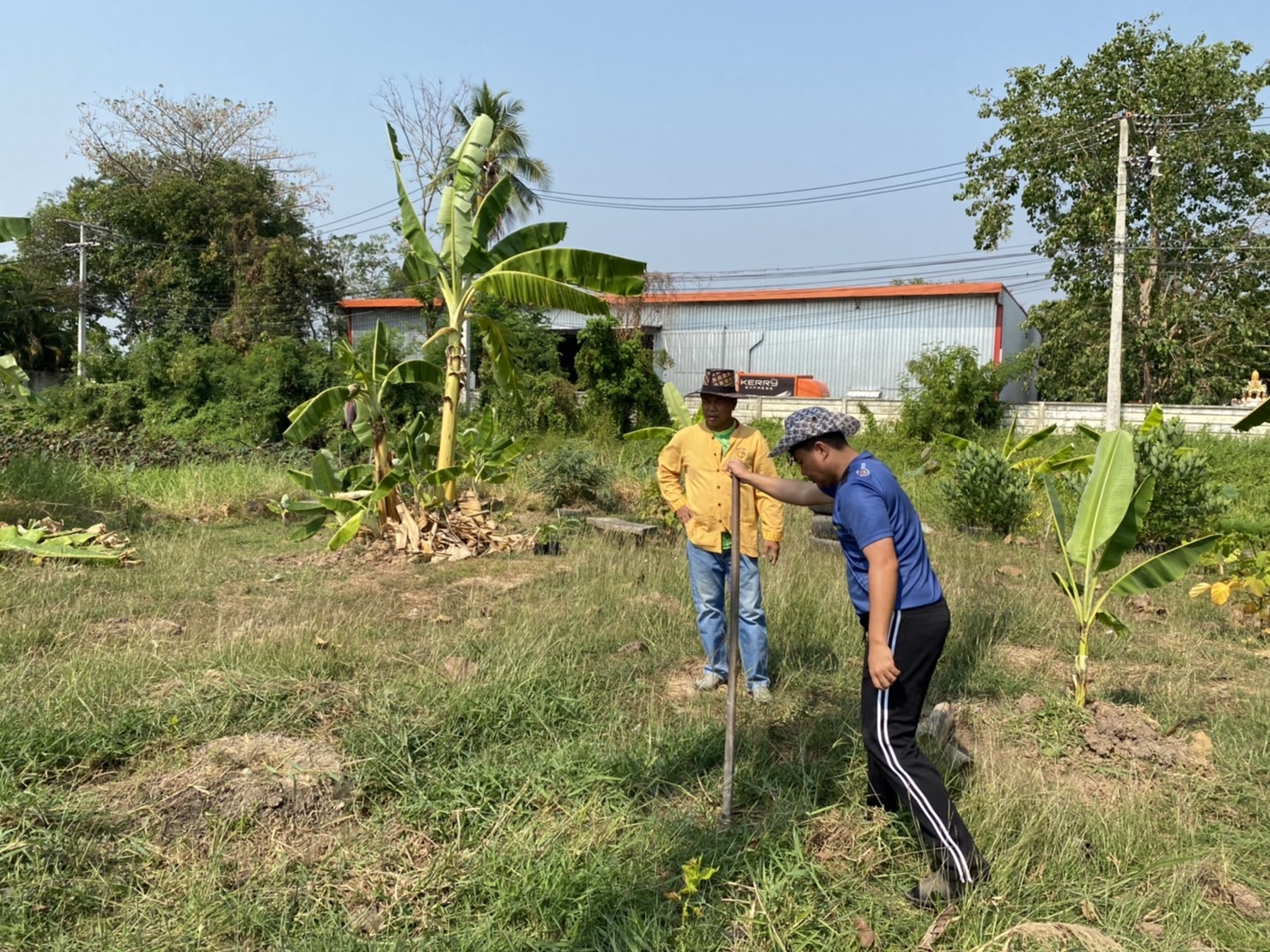 จังหวัดนครนายก ดำเนินการเตรียมพื้นที่ว่างบริเวณด้านหน้าศาลากลางจังหวัด เพื่อให้เป็นจุดเรียนรู้เศรษฐกิจพอเพียง 30 ตารางวา โมเดล