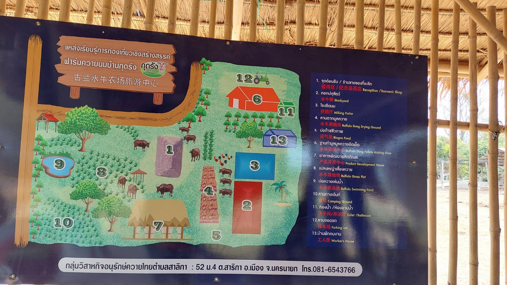 พัฒนาการจังหวัดนครนายก ร่วมกิจกรรมการยกระดับผลิตภัณฑ์และบริการท่องเที่ยวเชิงเกษตรโดยชุมชนฟาร์มควายนมบ้านกุดรัง