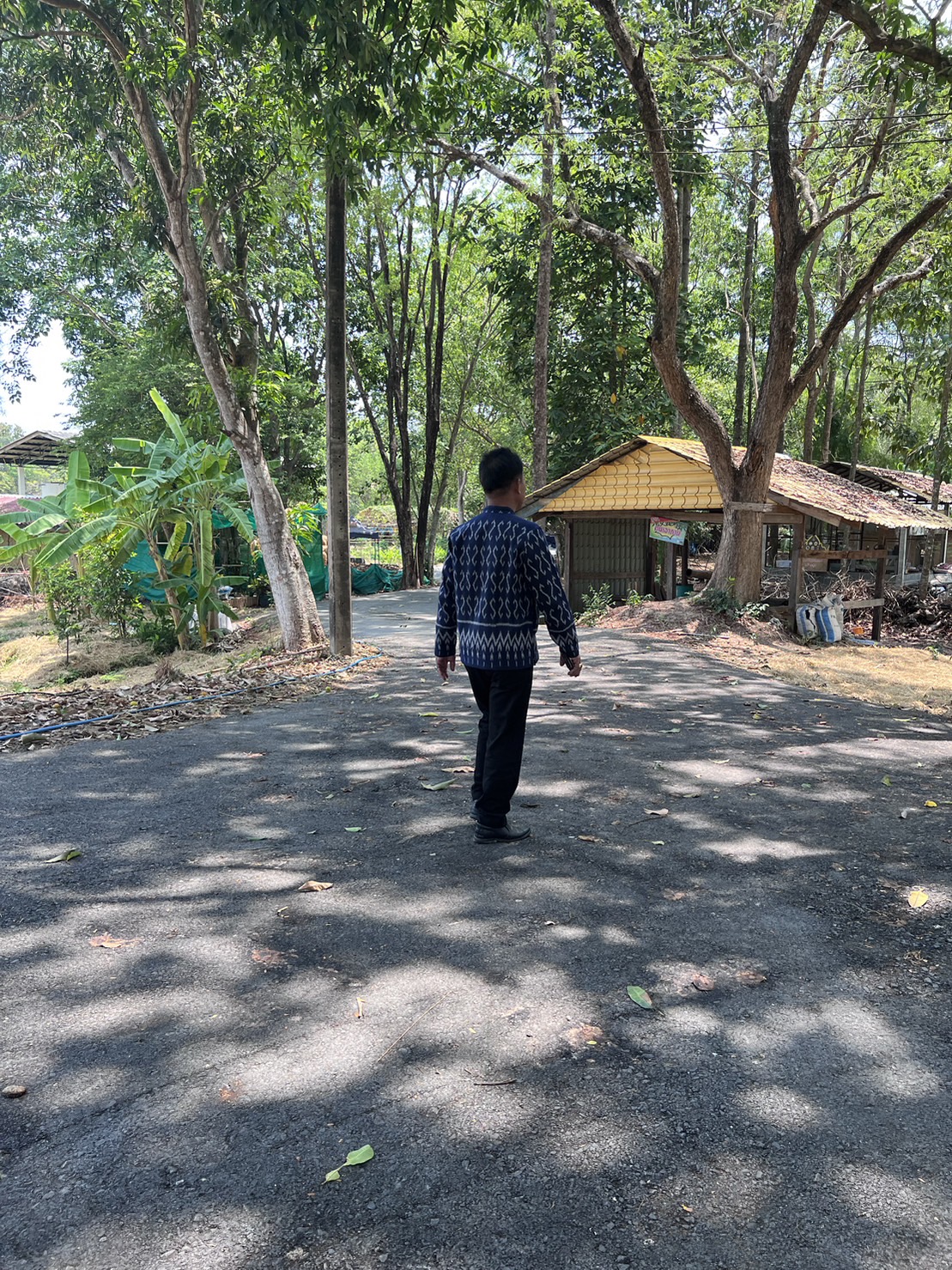 ข่าวพช.นครนายก >> ลงพื้นที่แปลงโคกหนองนา วัดดงละคร ศูนย์เรียนรู้ต้นแบบระดับจังหวัด