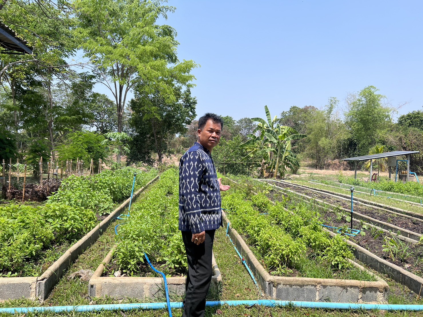 ข่าวพช.นครนายก >> ลงพื้นที่แปลงโคกหนองนา วัดดงละคร ศูนย์เรียนรู้ต้นแบบระดับจังหวัด