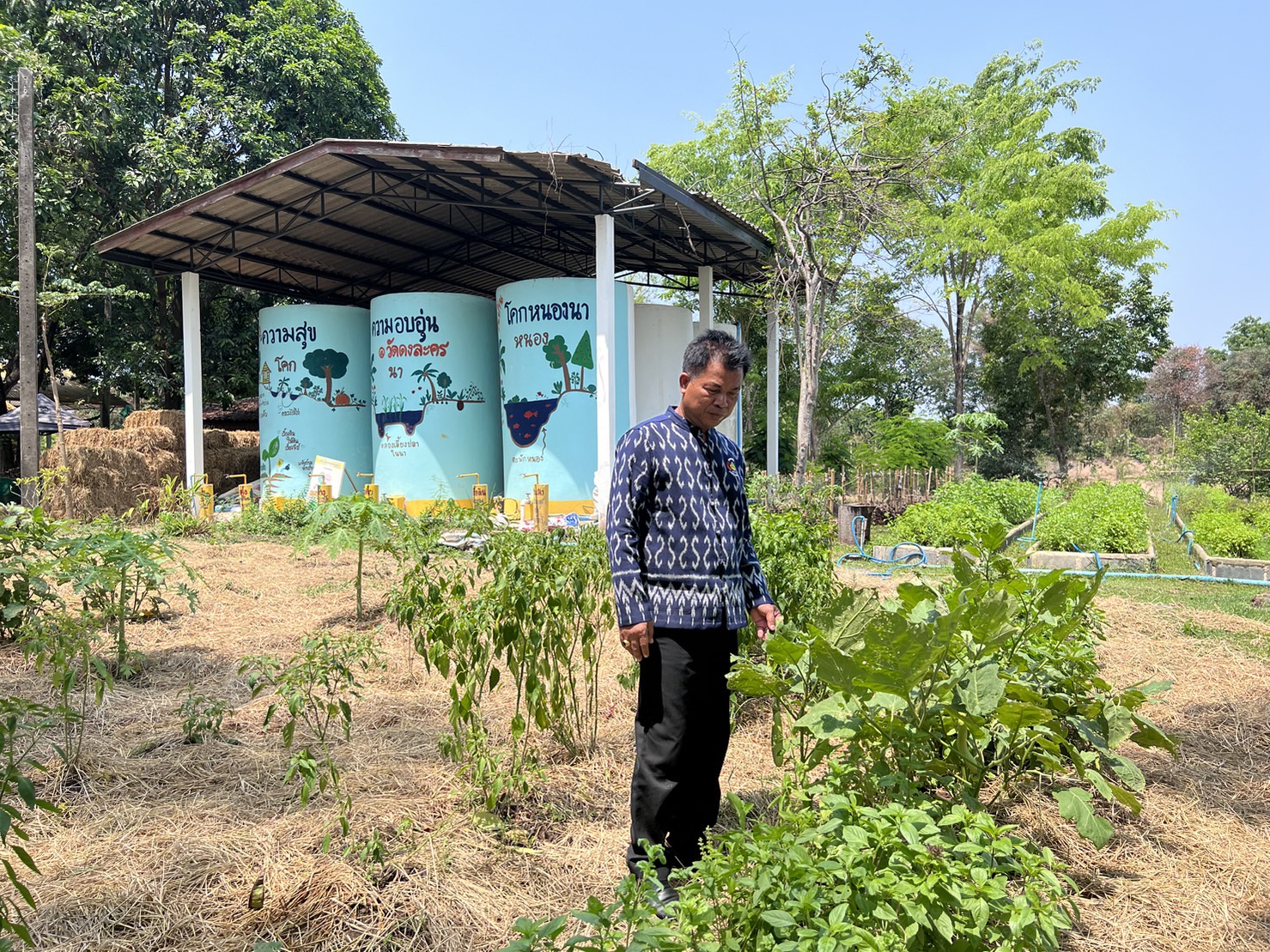 ข่าวพช.นครนายก >> ลงพื้นที่แปลงโคกหนองนา วัดดงละคร ศูนย์เรียนรู้ต้นแบบระดับจังหวัด