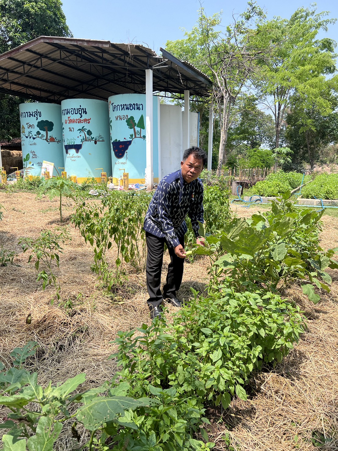 ข่าวพช.นครนายก >> ลงพื้นที่แปลงโคกหนองนา วัดดงละคร ศูนย์เรียนรู้ต้นแบบระดับจังหวัด