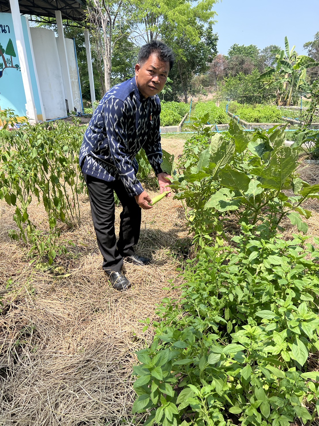 ข่าวพช.นครนายก >> ลงพื้นที่แปลงโคกหนองนา วัดดงละคร ศูนย์เรียนรู้ต้นแบบระดับจังหวัด