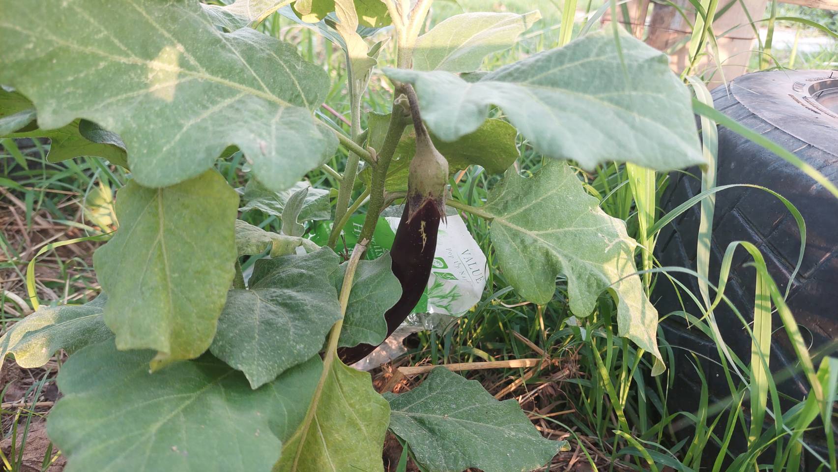 ข่าวพช  นครนายก เมืองขุนด่าน : รองผู้ว่าราชการจังหวัดนครนายก เยี่ยมชมจุดเรียนรู้ เศรษฐกิจพอเพียง 30 ตารางวาโมเดล