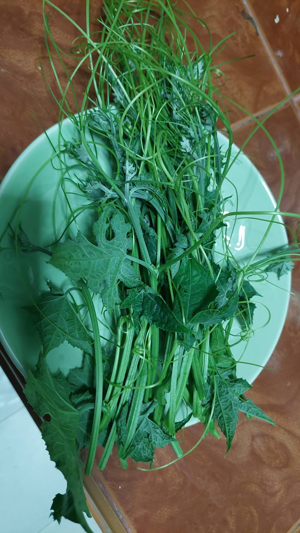 ???ผลผลิตจากการ “ปลูกเอง กินเอง” ในการน้อมนำแนวพระราชดำริสมเด็จพระกนิษฐาธิราชเจ้า กรมสมเด็จพระเทพรัตนราชสุดาสยามบรมราชกุมารี ผ่าน “ผู้นำต้องทำก่อน”