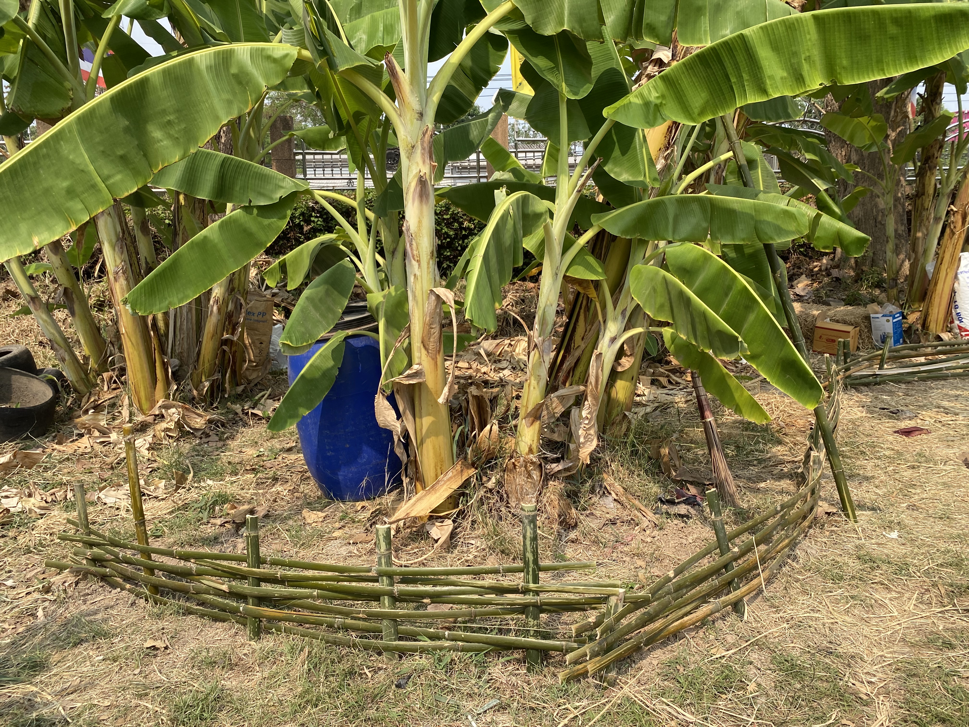 ???ผลผลิตจากการ “ปลูกเอง กินเอง” ในการน้อมนำแนวพระราชดำริสมเด็จพระกนิษฐาธิราชเจ้า กรมสมเด็จพระเทพรัตนราชสุดาสยามบรมราชกุมารี ผ่าน “ผู้นำต้องทำก่อน”