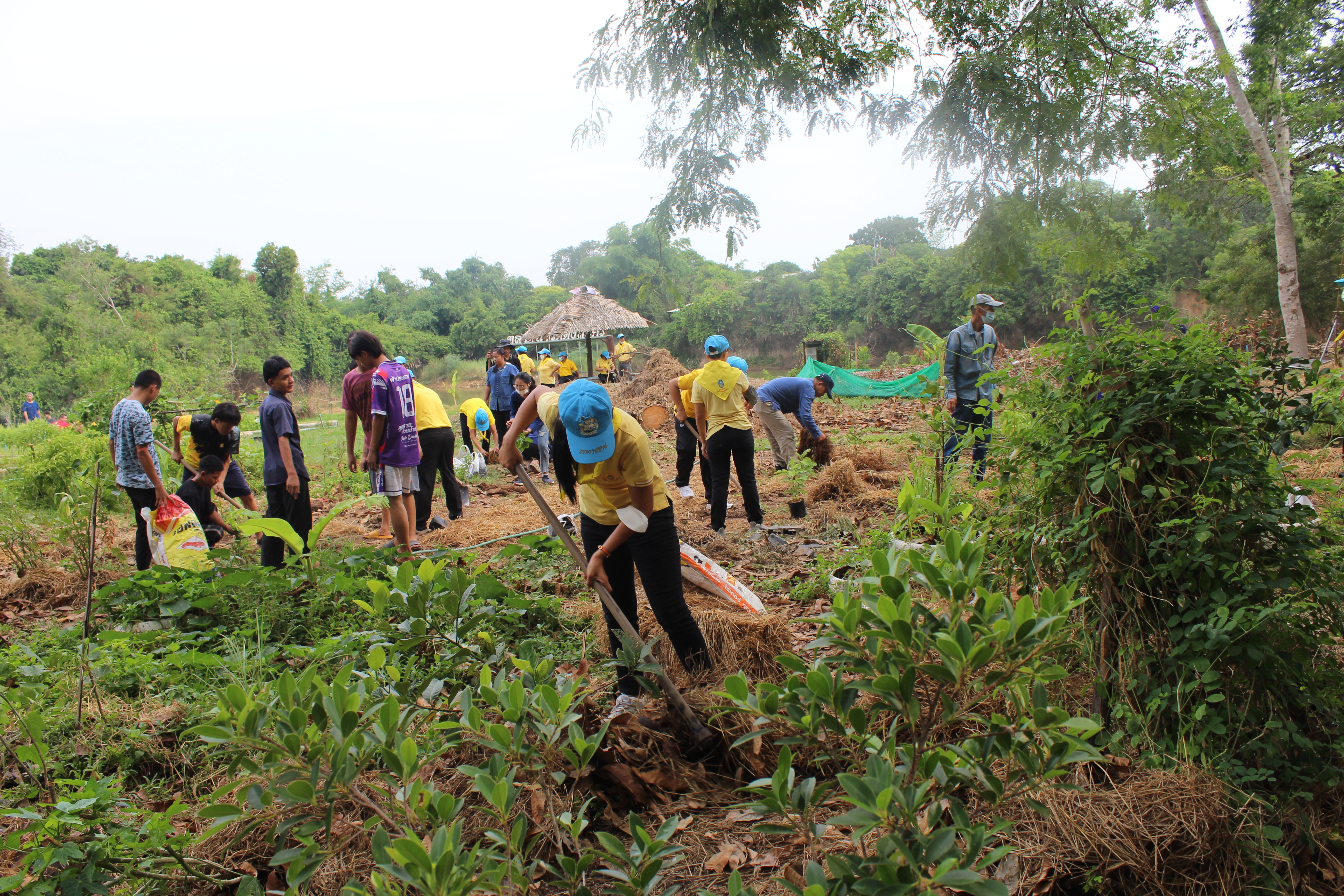 ??? พช.นครนายก ร่วม “เอามื้อ สามัคคี” ณ ศูนย์เรียนรู้ “โคก หนอง นา วัดดงละคร” ตาม โครงการวัด ประชา รัฐ สร้างสุข เนื่องในโอกาสฉลองพระชนมายุ 8 รอบ สมเด็จพระอริยวงศาคตญาณ สมเด็จพระสังฆราช สกลมหาสังฆปริณษยก 26 มิถุนายน 2566