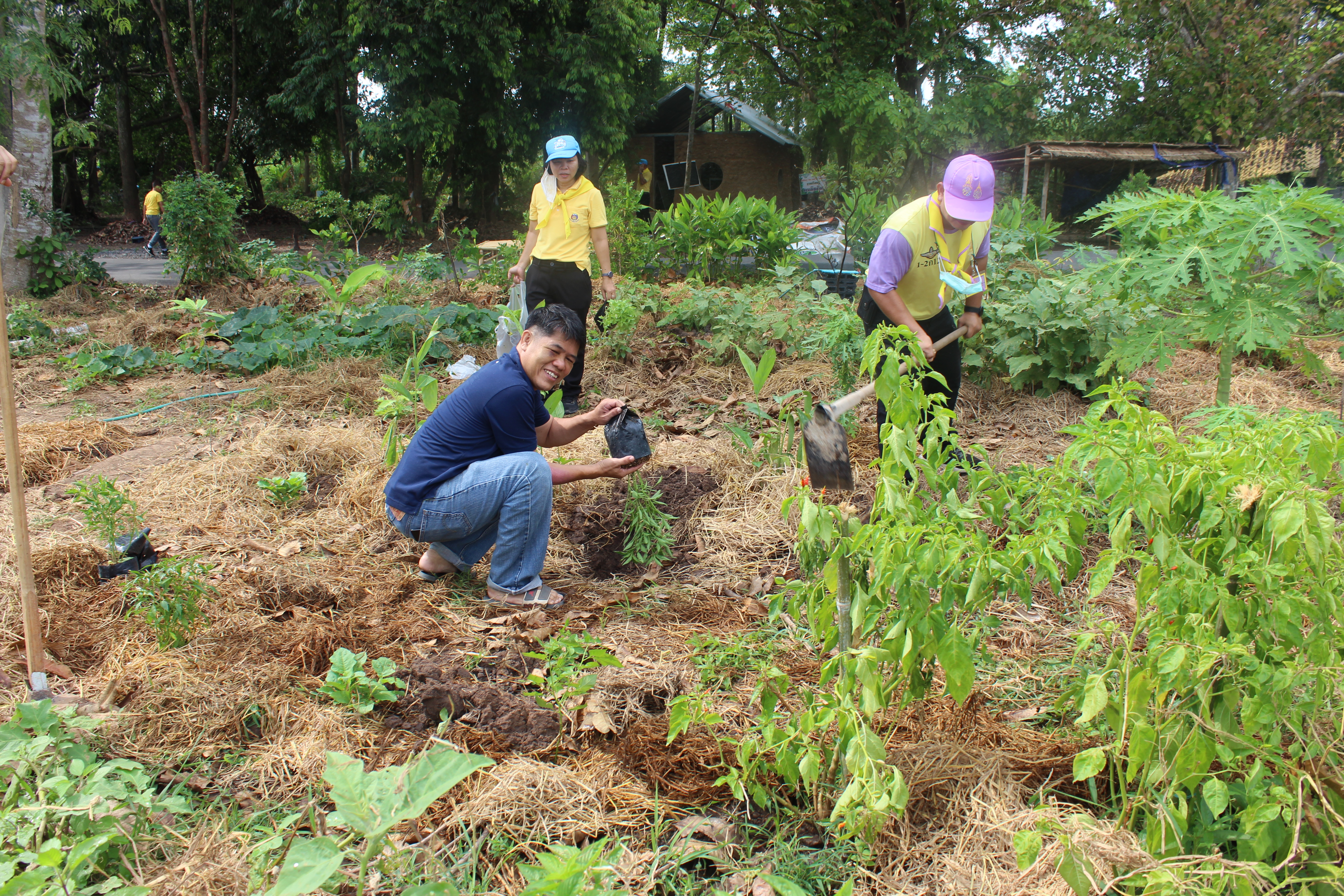 ??? พช.นครนายก ร่วม “เอามื้อ สามัคคี” ณ ศูนย์เรียนรู้ “โคก หนอง นา วัดดงละคร” ตาม โครงการวัด ประชา รัฐ สร้างสุข เนื่องในโอกาสฉลองพระชนมายุ 8 รอบ สมเด็จพระอริยวงศาคตญาณ สมเด็จพระสังฆราช สกลมหาสังฆปริณษยก 26 มิถุนายน 2566