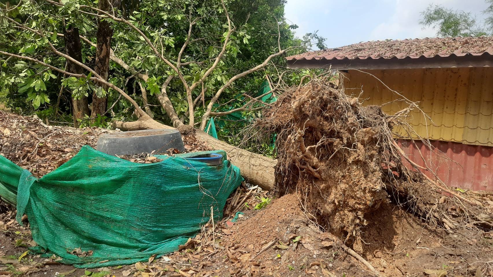 ???พช.นครนายก ลงพื้นที่ตรวจสอบความเสียหายจากเหตุการณ์วาตภัยพายุโซนร้อน