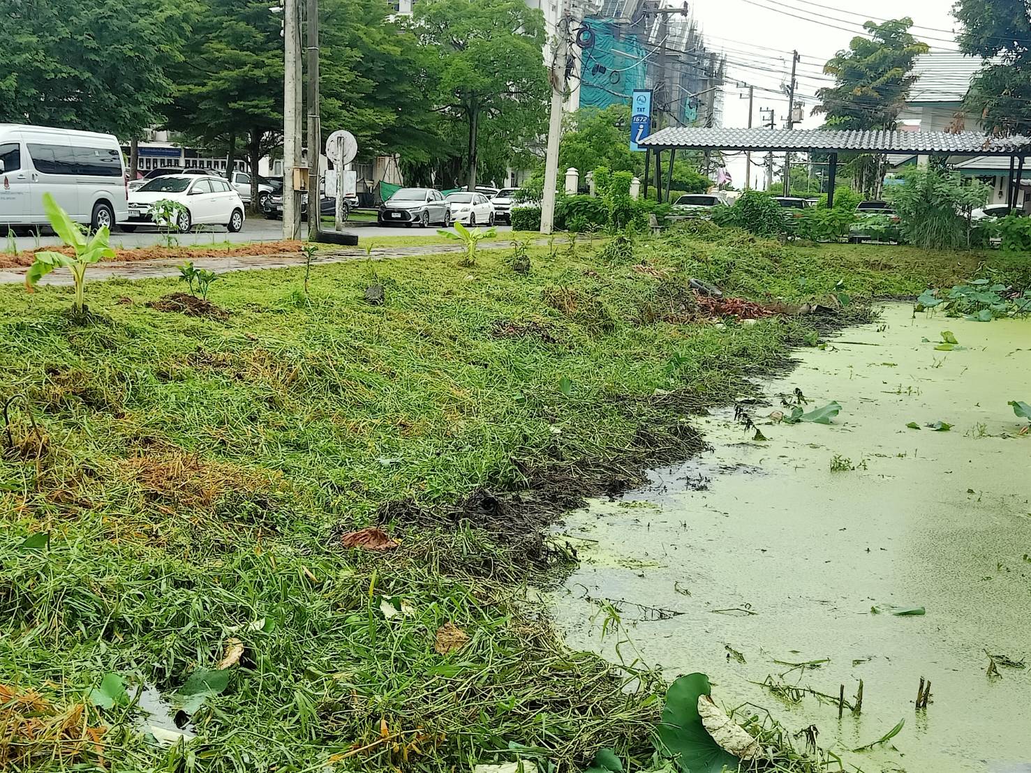 ???พช.นครนายก นักโทษขั้นเด็ดขาดร่วมปรับภูมิทัศน์บริเวณรอบสระน้ำ ประตูฝั่งขาออก ศาลากลางจังหวัดนครนายก