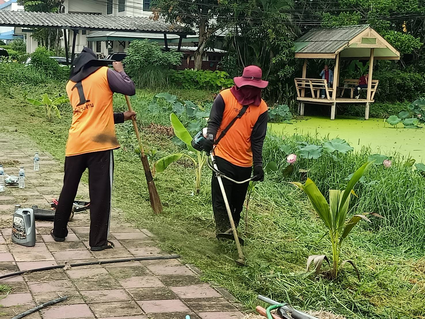 ???พช.นครนายก นักโทษขั้นเด็ดขาดร่วมปรับภูมิทัศน์บริเวณรอบสระน้ำ ประตูฝั่งขาออก ศาลากลางจังหวัดนครนายก