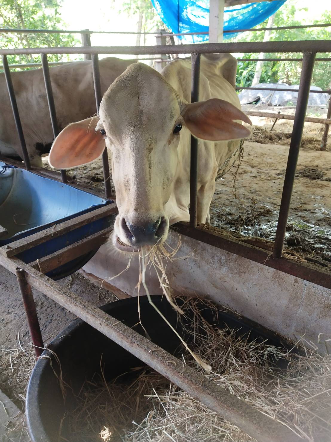 ??? พช.นครนายก : ลงพื้นที่ติดตามสนับสนุนการดำเนินงานกองทุนพัฒนาบทบาทสตรีจังหวัดนครนายก