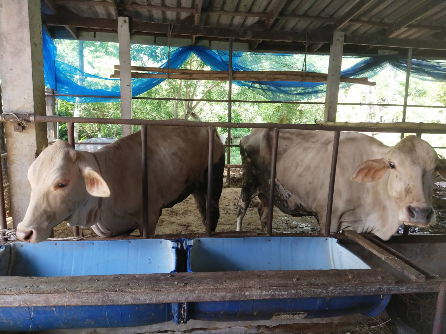 ??? พช.นครนายก : ลงพื้นที่ติดตามสนับสนุนการดำเนินงานกองทุนพัฒนาบทบาทสตรีจังหวัดนครนายก