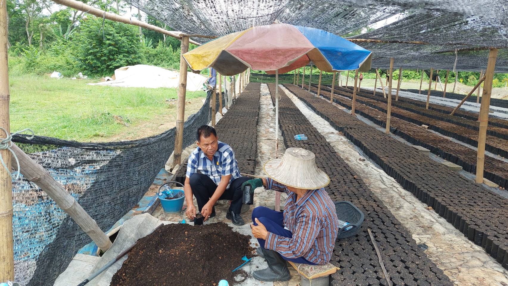 …พช.นครนายก ลงพื้นที่เยี่ยมให้กำลังใจสมาชิกกองทุนพัฒนาบทบาทสตรีอำเภอปากพลี กลุ่มเพาะชำกล้าไม้