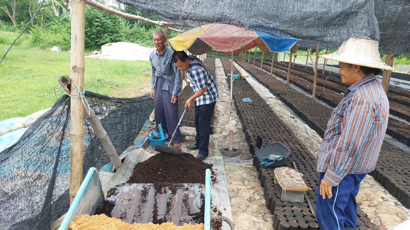 …พช.นครนายก ลงพื้นที่เยี่ยมให้กำลังใจสมาชิกกองทุนพัฒนาบทบาทสตรีอำเภอปากพลี กลุ่มเพาะชำกล้าไม้