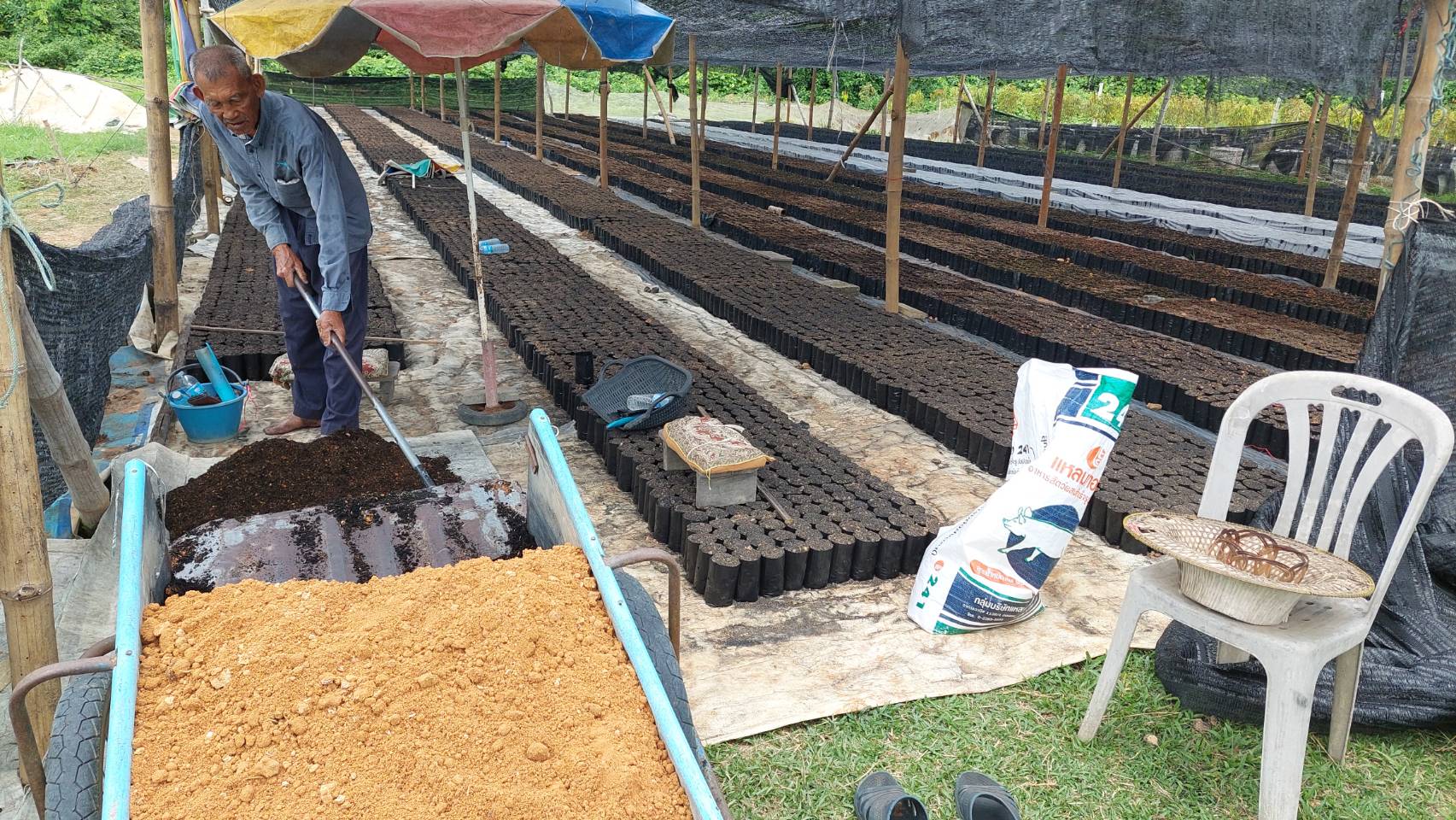 …พช.นครนายก ลงพื้นที่เยี่ยมให้กำลังใจสมาชิกกองทุนพัฒนาบทบาทสตรีอำเภอปากพลี กลุ่มเพาะชำกล้าไม้