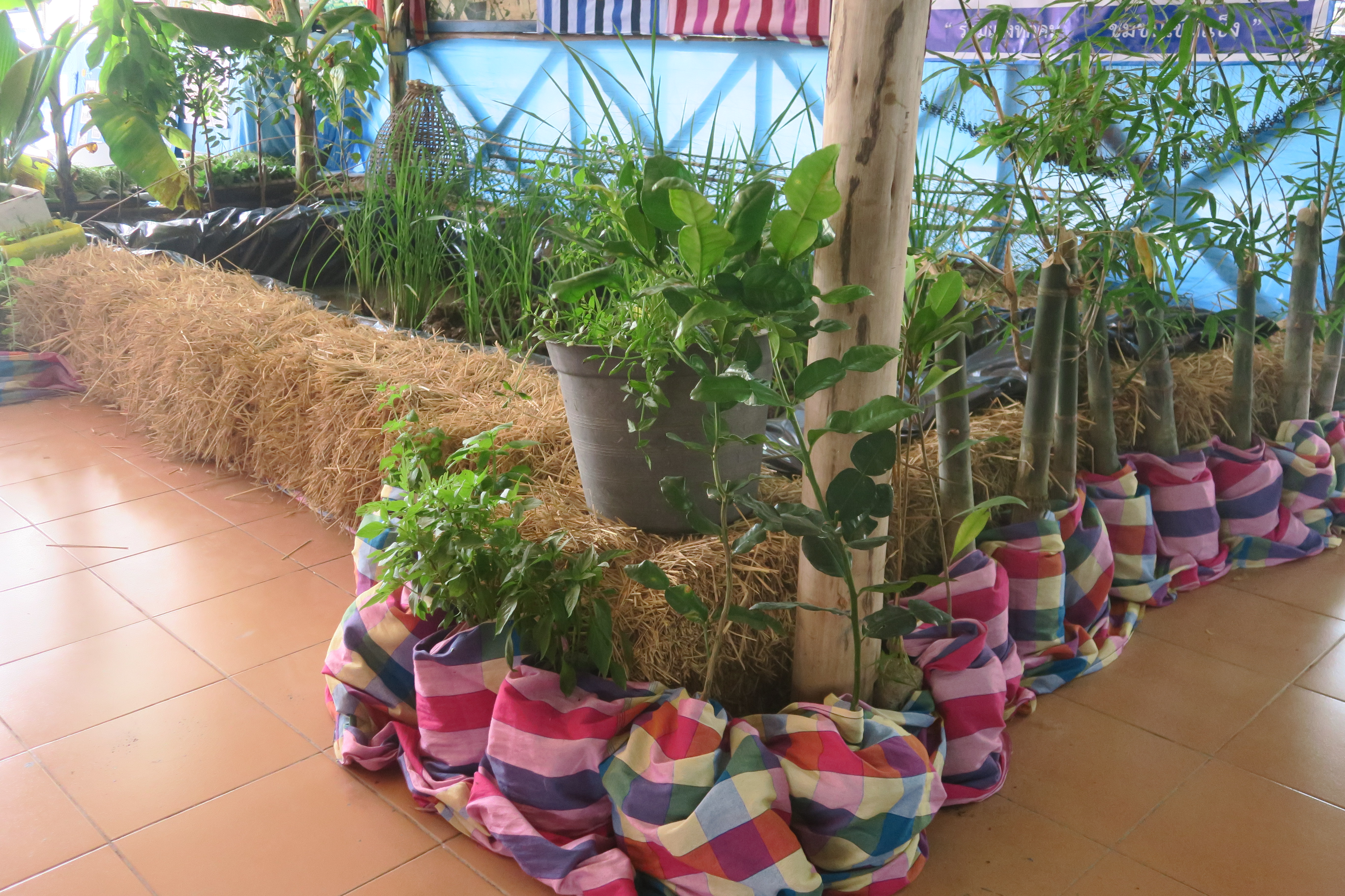 …พช.นครนายก ลุยพื้นที่พร้อมคณะทำงานติดตามและประกวดกองทุนแม่ของแผ่นดินดีเด่นระดับจังหวัดนครนายก ร่วมกิจกรรมการประกวดกองทุนแม่ดีเด่นระดับจังหวัด ประจำปีงบประมาณ พ.ศ. 2566