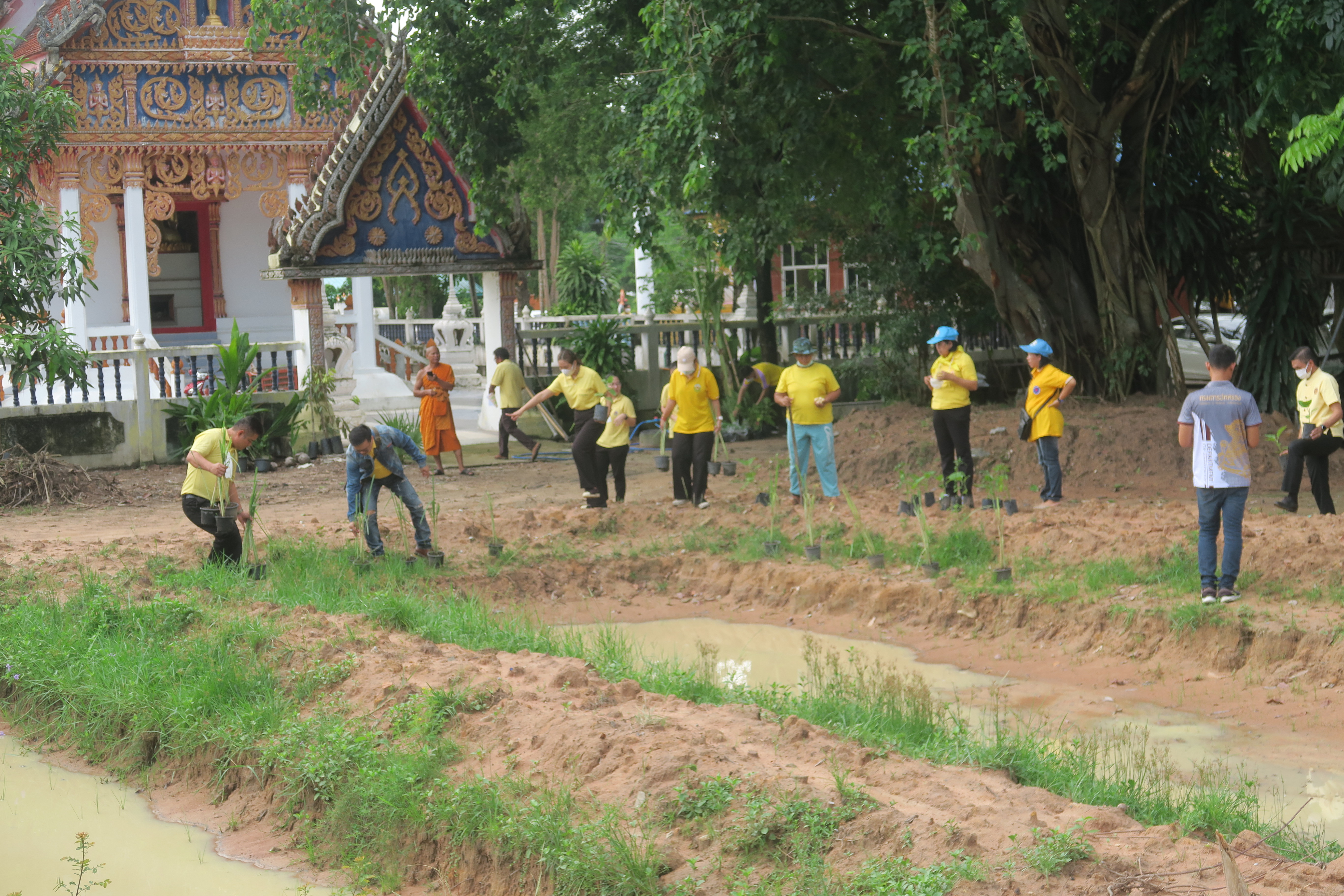 …พช.นครนายก : ร่วมกิจกรรมจิตอาสาพัฒนาชุมชน “เอามื้อสามัคคีทำความดีถวายในหลวง”