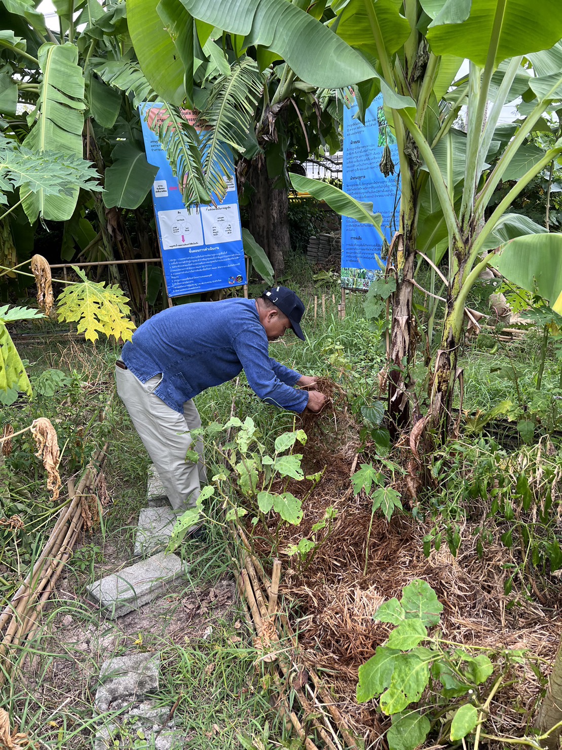 …พช.นครนายก น้อมนำแนวพระราชดำริของสมเด็จพระกนิษฐาธิราชเจ้า กรมสมเด็จพระเทพรัตนราชสุดาฯ สยามบรมราชกุมารี สู่ปฏิบัติการปลูกผักสวนครัว เพื่อสร้างความมั่นคงทางอาหาร