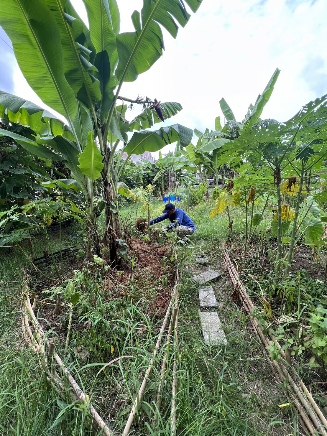 …พช.นครนายก น้อมนำแนวพระราชดำริของสมเด็จพระกนิษฐาธิราชเจ้า กรมสมเด็จพระเทพรัตนราชสุดาฯ สยามบรมราชกุมารี สู่ปฏิบัติการปลูกผักสวนครัว เพื่อสร้างความมั่นคงทางอาหาร