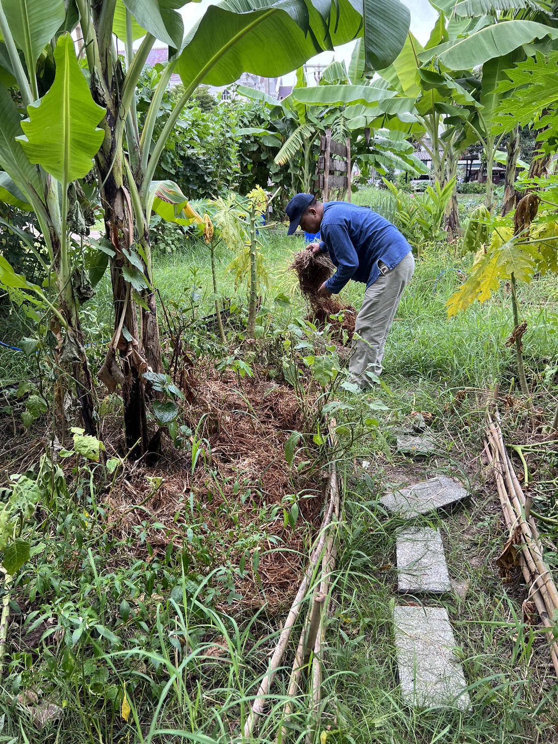 …พช.นครนายก น้อมนำแนวพระราชดำริของสมเด็จพระกนิษฐาธิราชเจ้า กรมสมเด็จพระเทพรัตนราชสุดาฯ สยามบรมราชกุมารี สู่ปฏิบัติการปลูกผักสวนครัว เพื่อสร้างความมั่นคงทางอาหาร