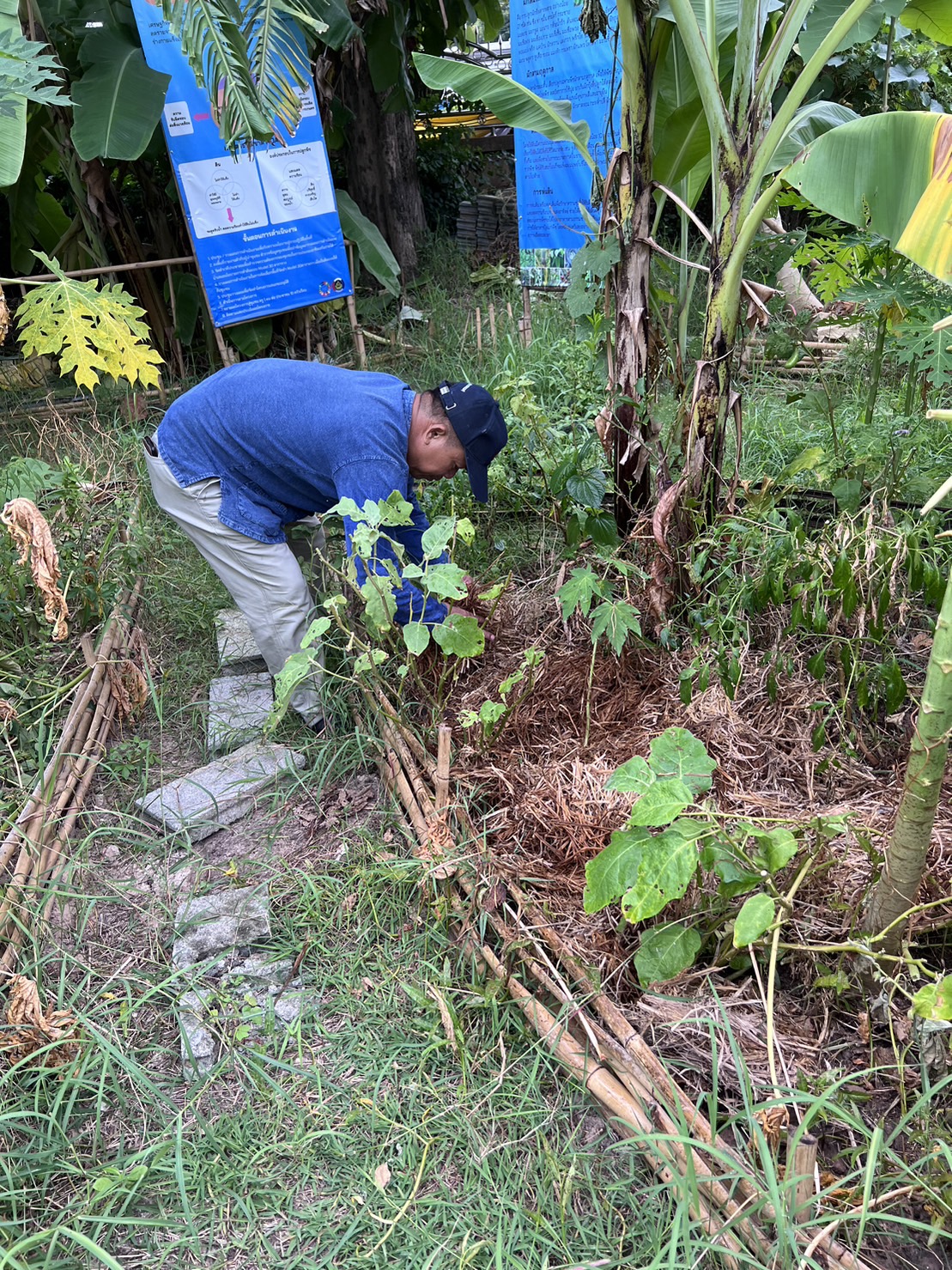 …พช.นครนายก น้อมนำแนวพระราชดำริของสมเด็จพระกนิษฐาธิราชเจ้า กรมสมเด็จพระเทพรัตนราชสุดาฯ สยามบรมราชกุมารี สู่ปฏิบัติการปลูกผักสวนครัว เพื่อสร้างความมั่นคงทางอาหาร