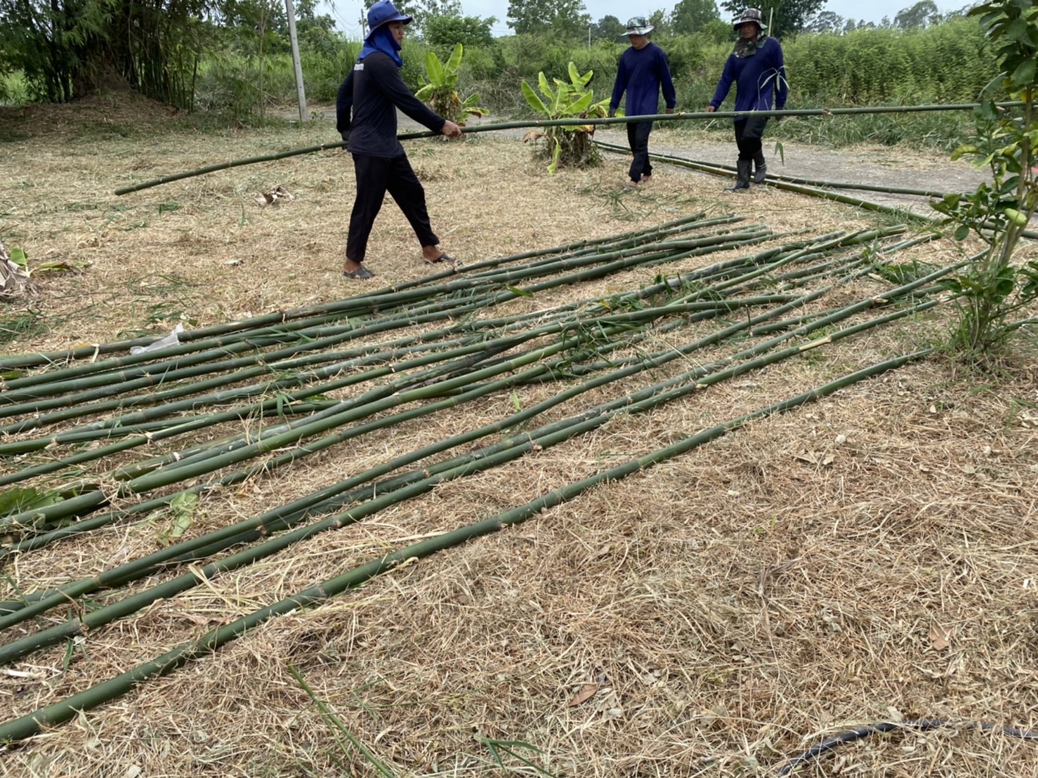 …พช.นครนายก น้อมนำแนวพระราชดำริของสมเด็จพระกนิษฐาธิราชเจ้า กรมสมเด็จพระเทพรัตนราชสุดาฯ สยามบรมราชกุมารี สู่ปฏิบัติการปลูกผักสวนครัว เพื่อสร้างความมั่นคงทางอาหาร