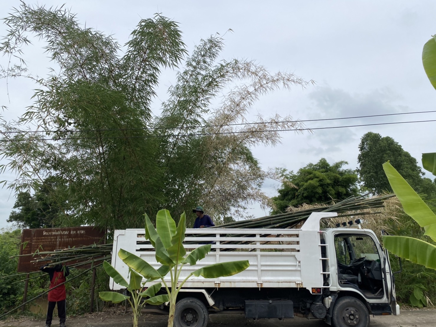 …พช.นครนายก น้อมนำแนวพระราชดำริของสมเด็จพระกนิษฐาธิราชเจ้า กรมสมเด็จพระเทพรัตนราชสุดาฯ สยามบรมราชกุมารี สู่ปฏิบัติการปลูกผักสวนครัว เพื่อสร้างความมั่นคงทางอาหาร