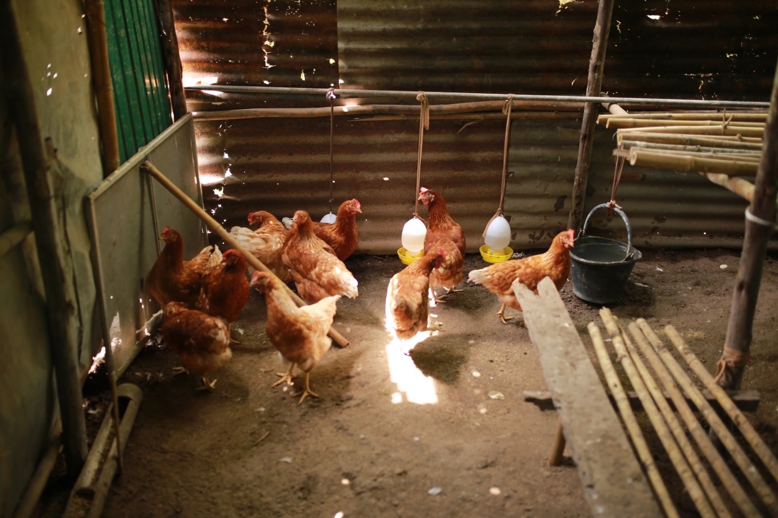 …พช.นครนายก ลงพื้นที่ติดตามการดำเนินงานโครงการพัฒนาคุณภาพด้านการศึกษาและเพิ่มทักษะการประกอบอาชีพ ประจำปี พ.ศ.2566 และโครงการ 30 ตารางวา สร้างความมั่นคงทางอาหาร ด้วยหลักปรัชญาของเศรษฐกิจพอเพียง