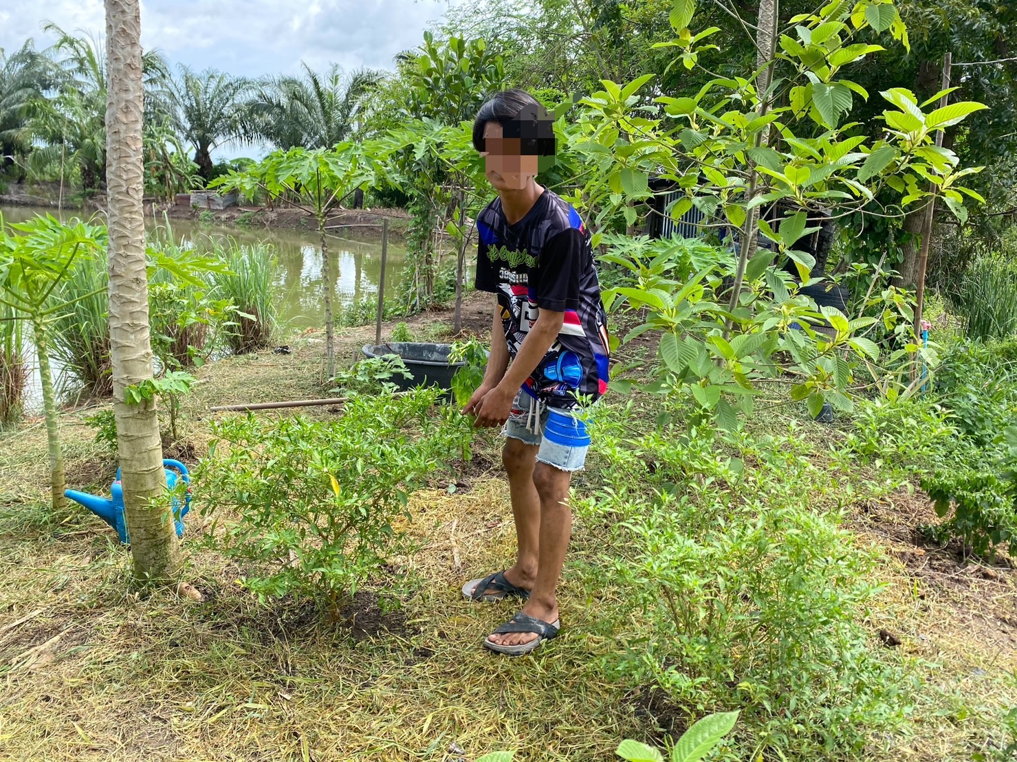 …พช.นครนายก ลงพื้นที่ติดตามเยาวชนกลุ่มเสี่ยงที่เข้าร่วมโครงการเครือข่ายกองทุนแม่ของแผ่นดินระดับจังหวัดหนุนเสริมสัมมาชีพชุมชนแก่เยาวชนกลุ่มเสี่ยงหรือผู้ผ่านการบำบัดอำเภอองครักษ์