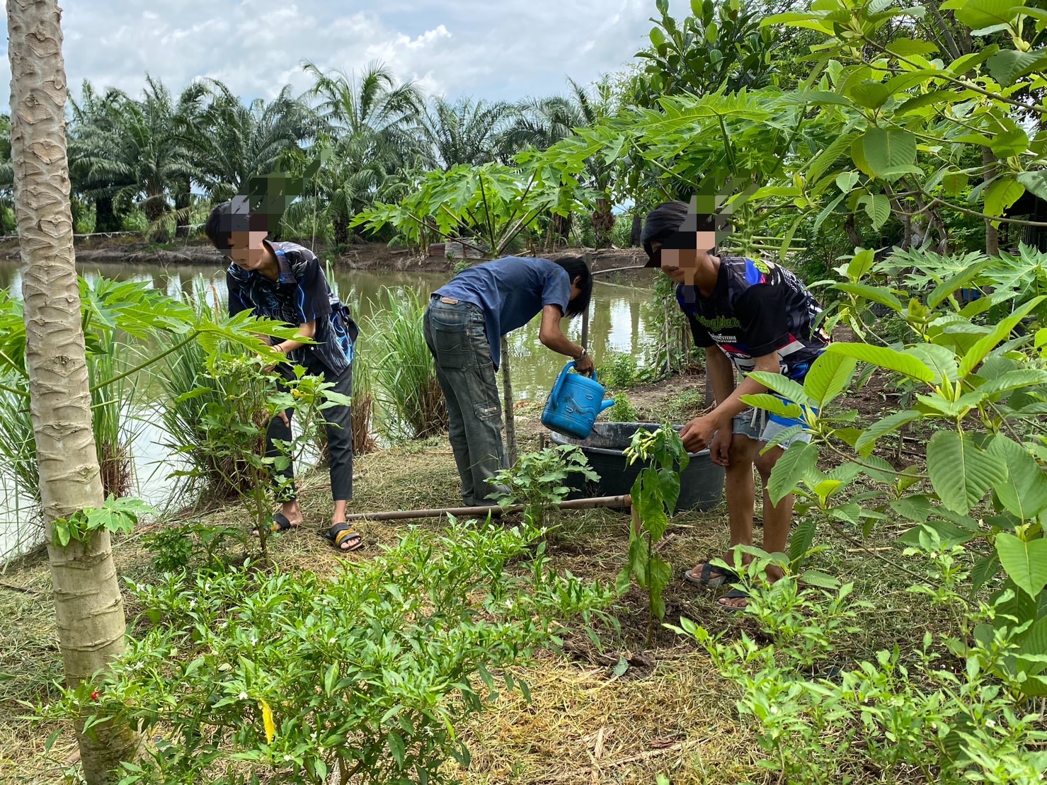 …พช.นครนายก ลงพื้นที่ติดตามเยาวชนกลุ่มเสี่ยงที่เข้าร่วมโครงการเครือข่ายกองทุนแม่ของแผ่นดินระดับจังหวัดหนุนเสริมสัมมาชีพชุมชนแก่เยาวชนกลุ่มเสี่ยงหรือผู้ผ่านการบำบัดอำเภอองครักษ์