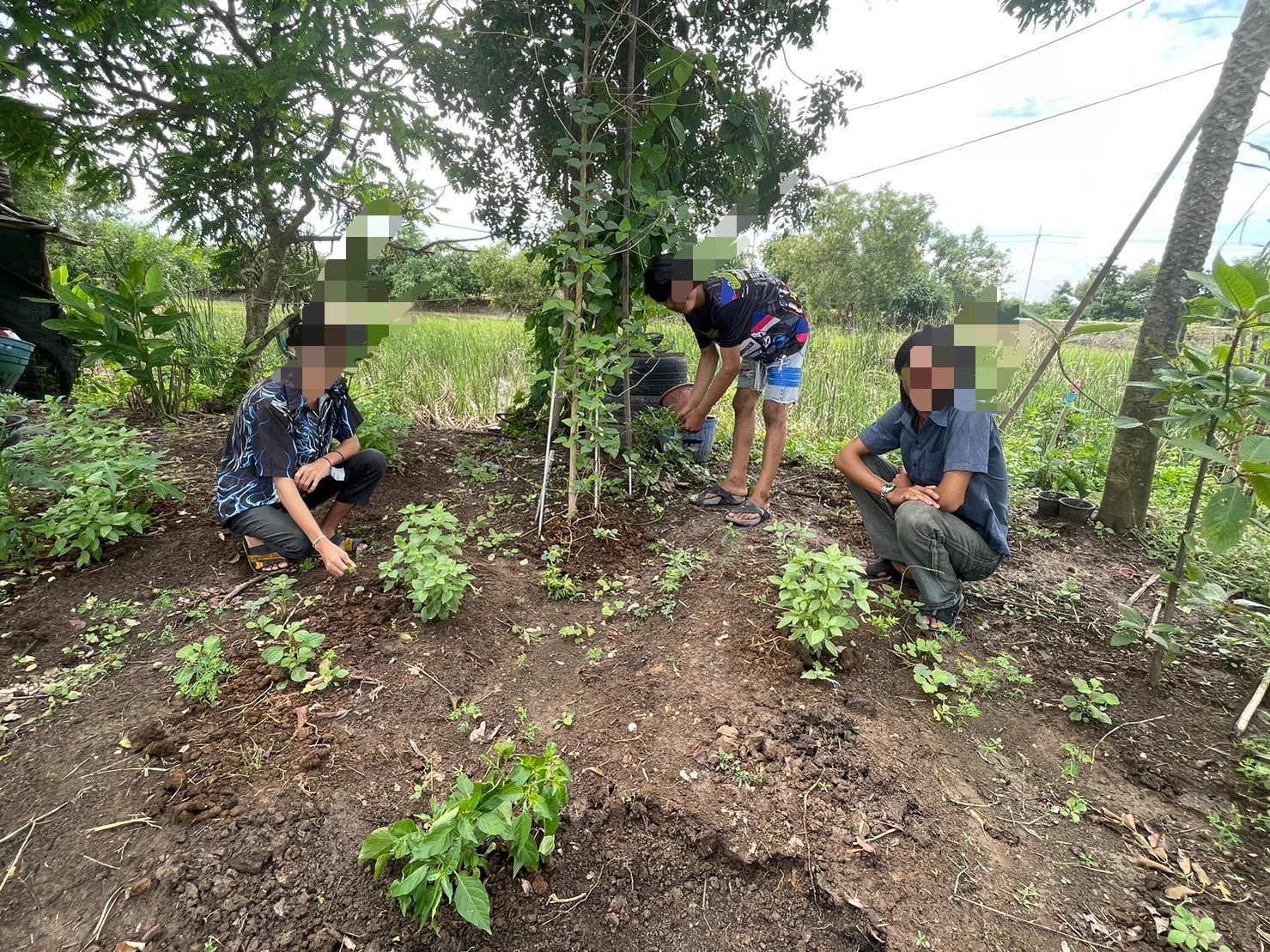 …พช.นครนายก ลงพื้นที่ติดตามเยาวชนกลุ่มเสี่ยงที่เข้าร่วมโครงการเครือข่ายกองทุนแม่ของแผ่นดินระดับจังหวัดหนุนเสริมสัมมาชีพชุมชนแก่เยาวชนกลุ่มเสี่ยงหรือผู้ผ่านการบำบัดอำเภอองครักษ์