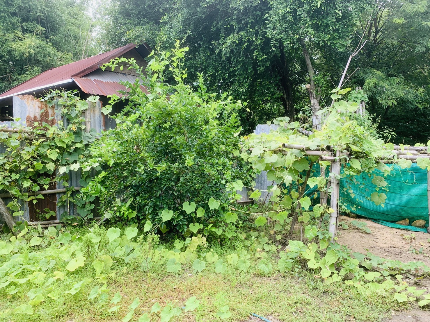 ..พช.นครนายก ลงพื้นที่ติดตามการดำเนินงานโครงการพัฒนาคุณภาพด้านการศึกษาและเพิ่มทักษะการประกอบอาชีพ ประจำปี พ.ศ.2566 และโครงการ 30 ตารางวา สร้างความมั่นคงทางอาหาร ด้วยหลักปรัชญาของเศรษฐกิจพอเพียง