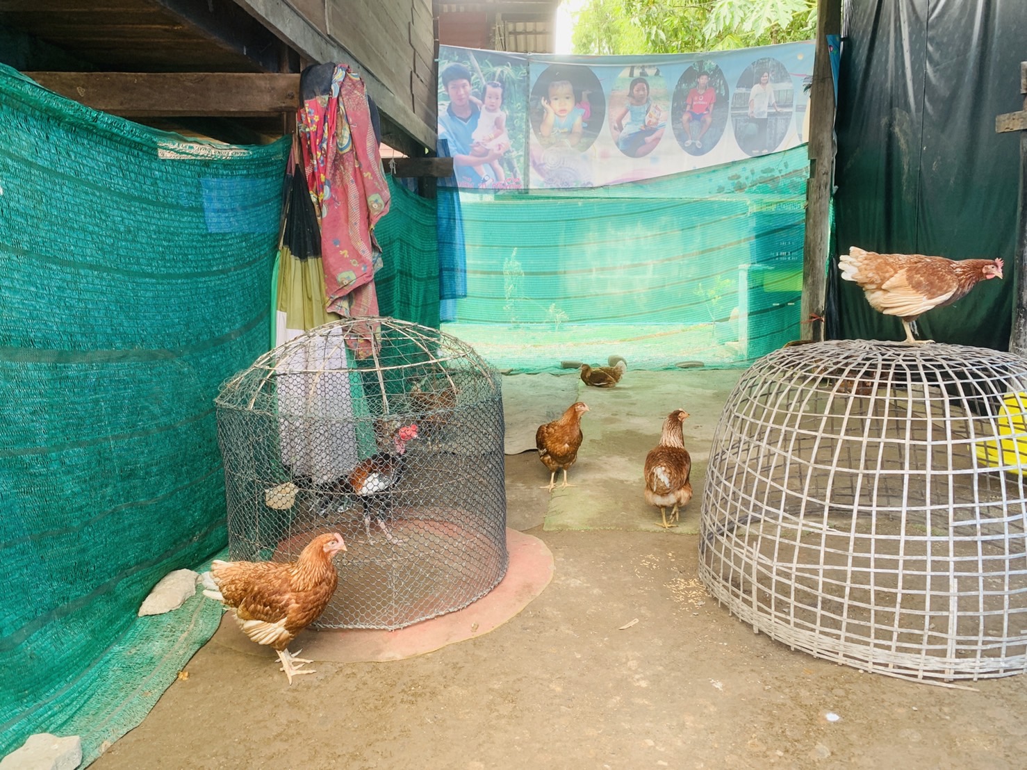 ..พช.นครนายก ลงพื้นที่ติดตามการดำเนินงานโครงการพัฒนาคุณภาพด้านการศึกษาและเพิ่มทักษะการประกอบอาชีพ ประจำปี พ.ศ.2566 และโครงการ 30 ตารางวา สร้างความมั่นคงทางอาหาร ด้วยหลักปรัชญาของเศรษฐกิจพอเพียง