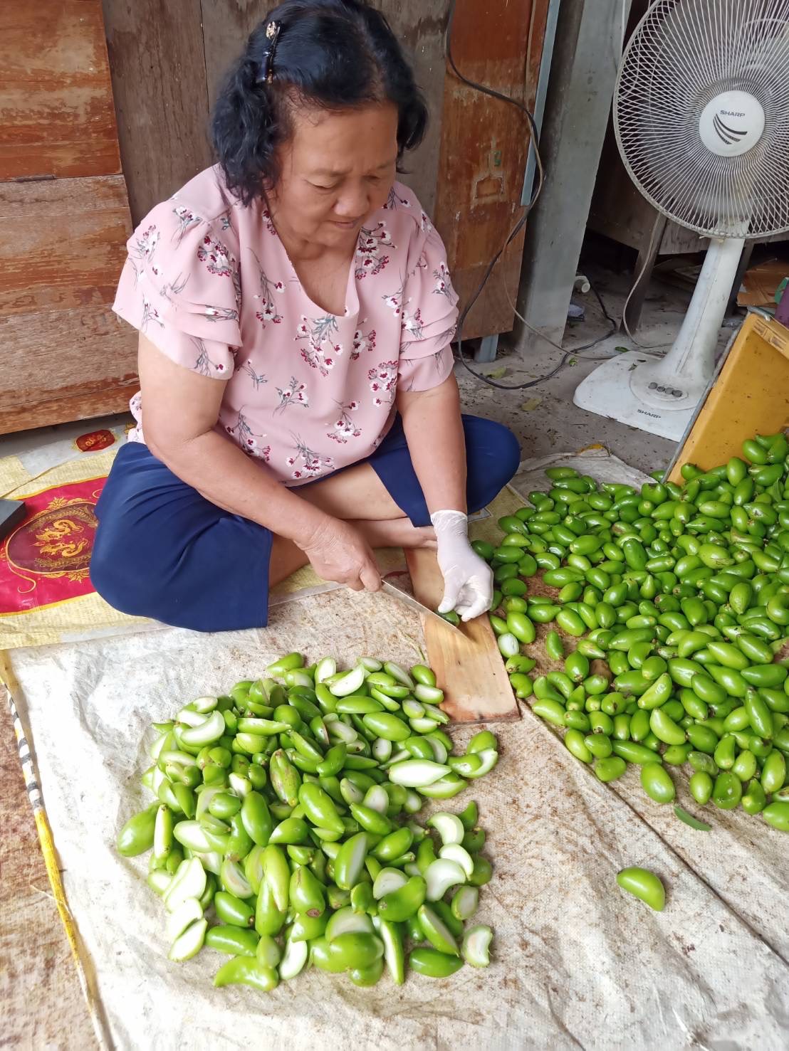 …พช.นครนายก ลงพื้นที่ร่วมกับมหาวิทยาลัยเทคโนโลยีราชมงคลธัญบุรี เพื่อติดตามการดำเนินงานทุน“คูปองวิทย์เพื่อโอทอป” ปี 2566