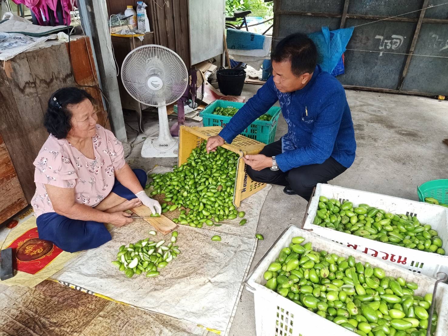 …พช.นครนายก ลงพื้นที่ร่วมกับมหาวิทยาลัยเทคโนโลยีราชมงคลธัญบุรี เพื่อติดตามการดำเนินงานทุน“คูปองวิทย์เพื่อโอทอป” ปี 2566