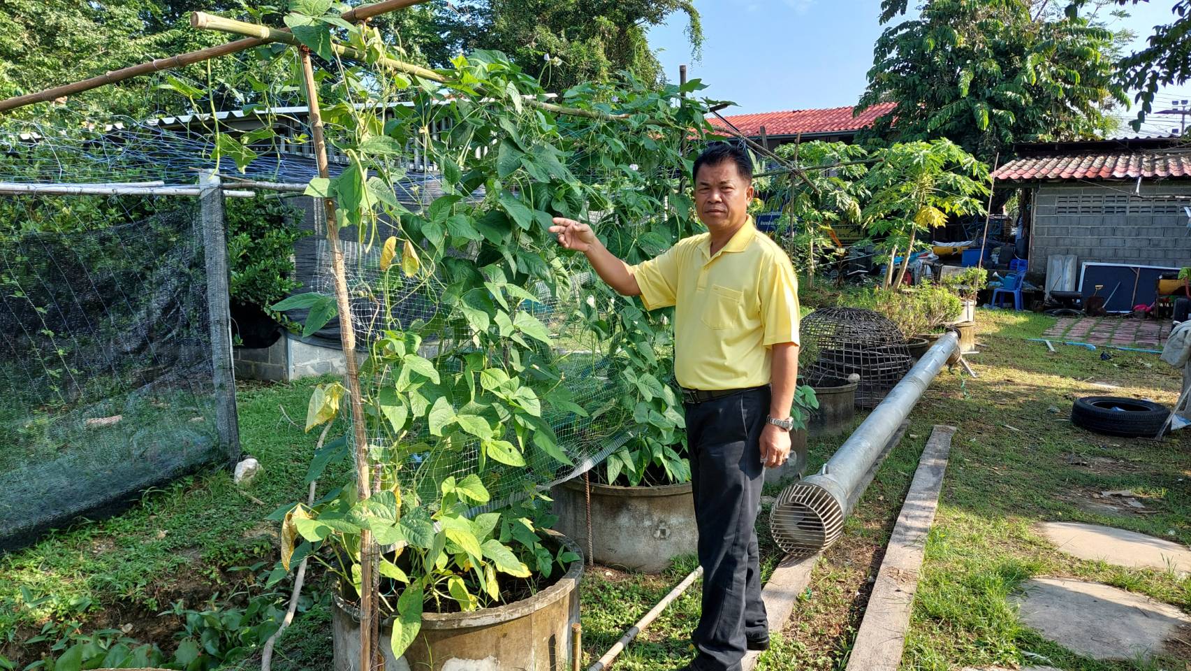 …พัฒนาการจังหวัดลงพื้นที่เยี่ยมแปลงศูนย์เรียนรู้เศรษฐกิจพอเพียง ที่ว่าการอำเภอบ้านนา