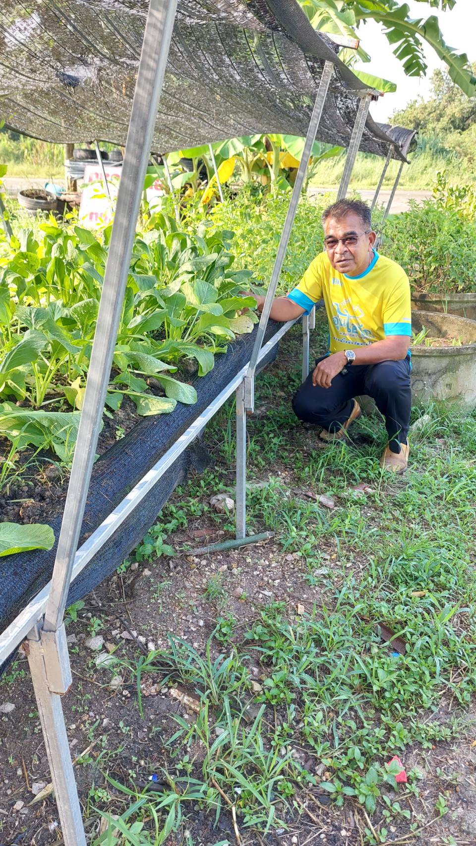 …พัฒนาการจังหวัดลงพื้นที่เยี่ยมแปลงศูนย์เรียนรู้เศรษฐกิจพอเพียง ที่ว่าการอำเภอบ้านนา