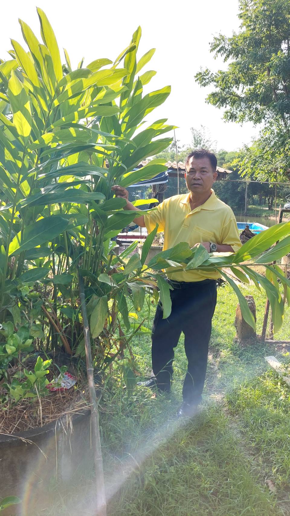 …พัฒนาการจังหวัดลงพื้นที่เยี่ยมแปลงศูนย์เรียนรู้เศรษฐกิจพอเพียง ที่ว่าการอำเภอบ้านนา