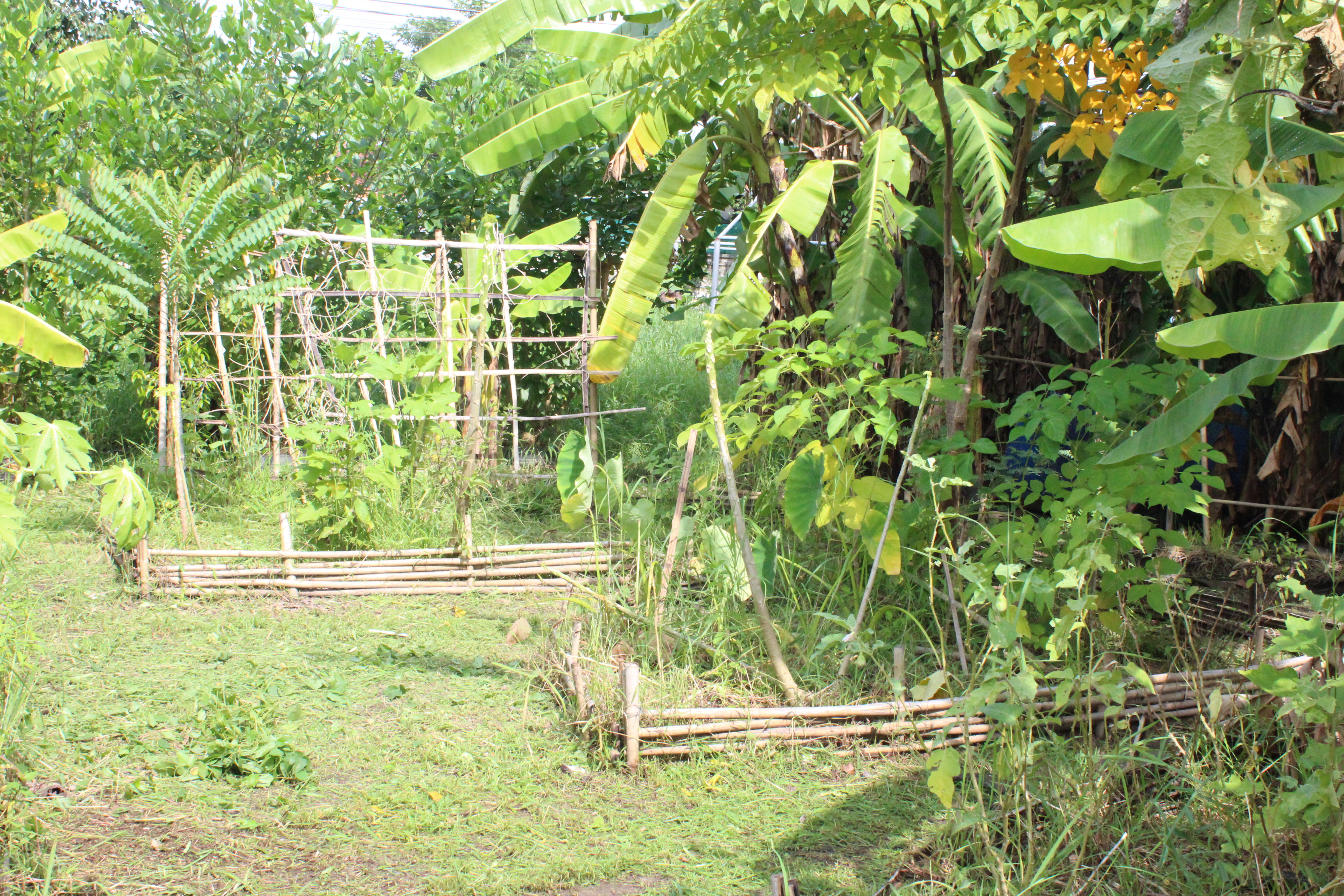 …พช.นครนายก ร่วมจิตอาสาปรับปรุงภูมิทัศน์ “จุดเรียนรู้เศรษฐกิจพอเพียง 30 ตารางวา โมเดล” และ “จวนผู้ว่าราชการจังหวัดนครนายก”