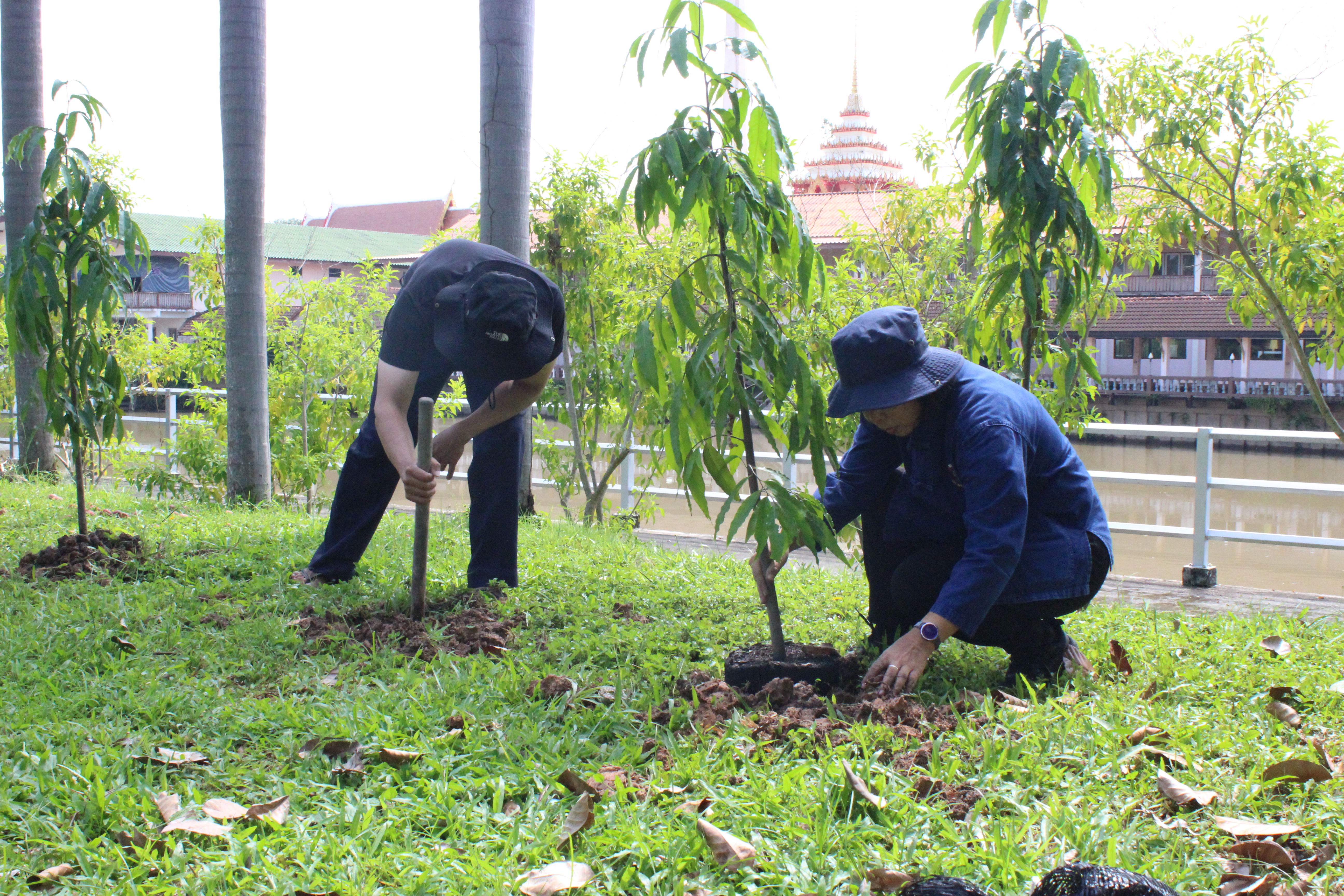 …พช.นครนายก ร่วมจิตอาสาปรับปรุงภูมิทัศน์ “จุดเรียนรู้เศรษฐกิจพอเพียง 30 ตารางวา โมเดล” และ “จวนผู้ว่าราชการจังหวัดนครนายก”
