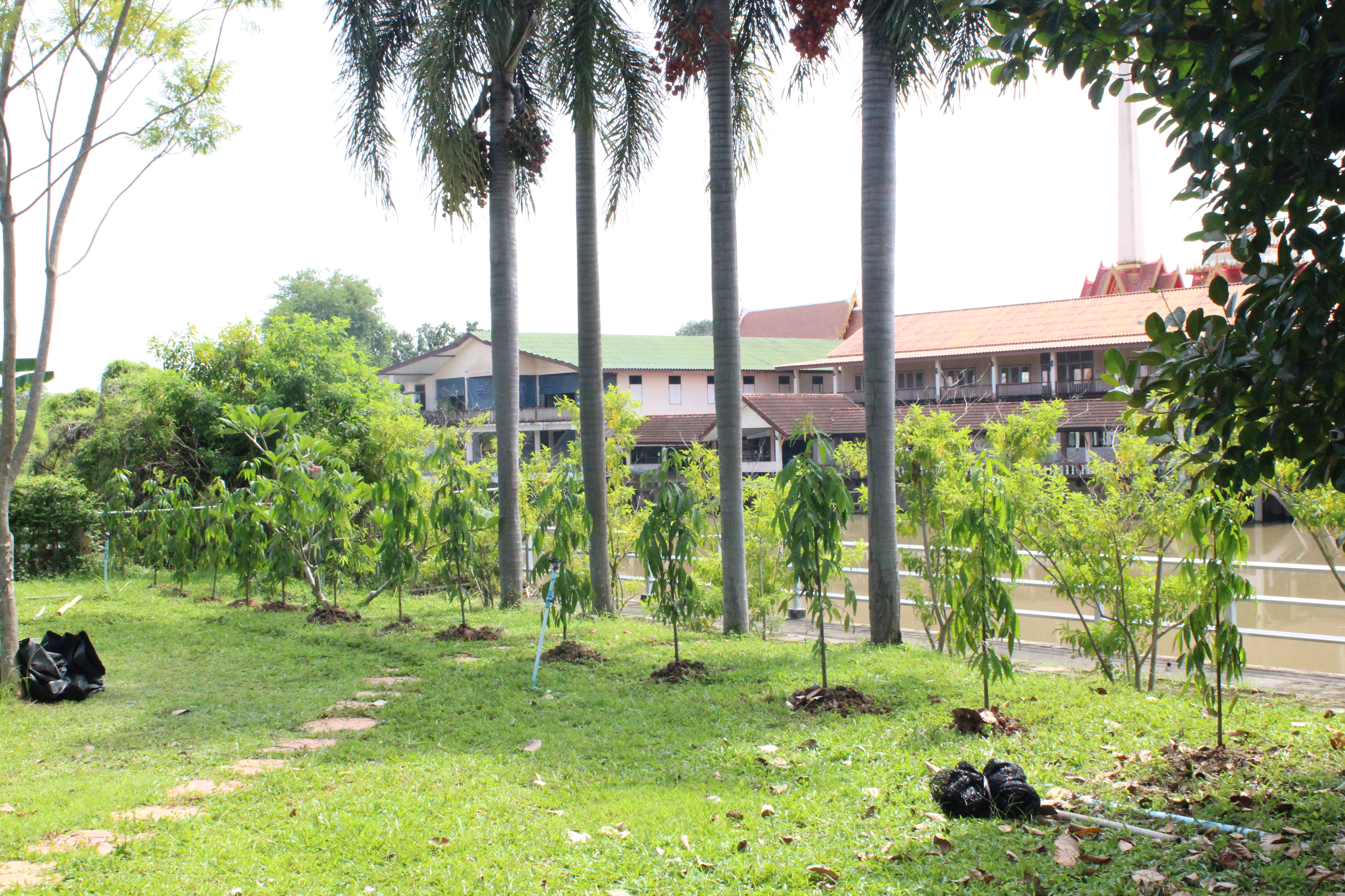 …พช.นครนายก ร่วมจิตอาสาปรับปรุงภูมิทัศน์ “จุดเรียนรู้เศรษฐกิจพอเพียง 30 ตารางวา โมเดล” และ “จวนผู้ว่าราชการจังหวัดนครนายก”