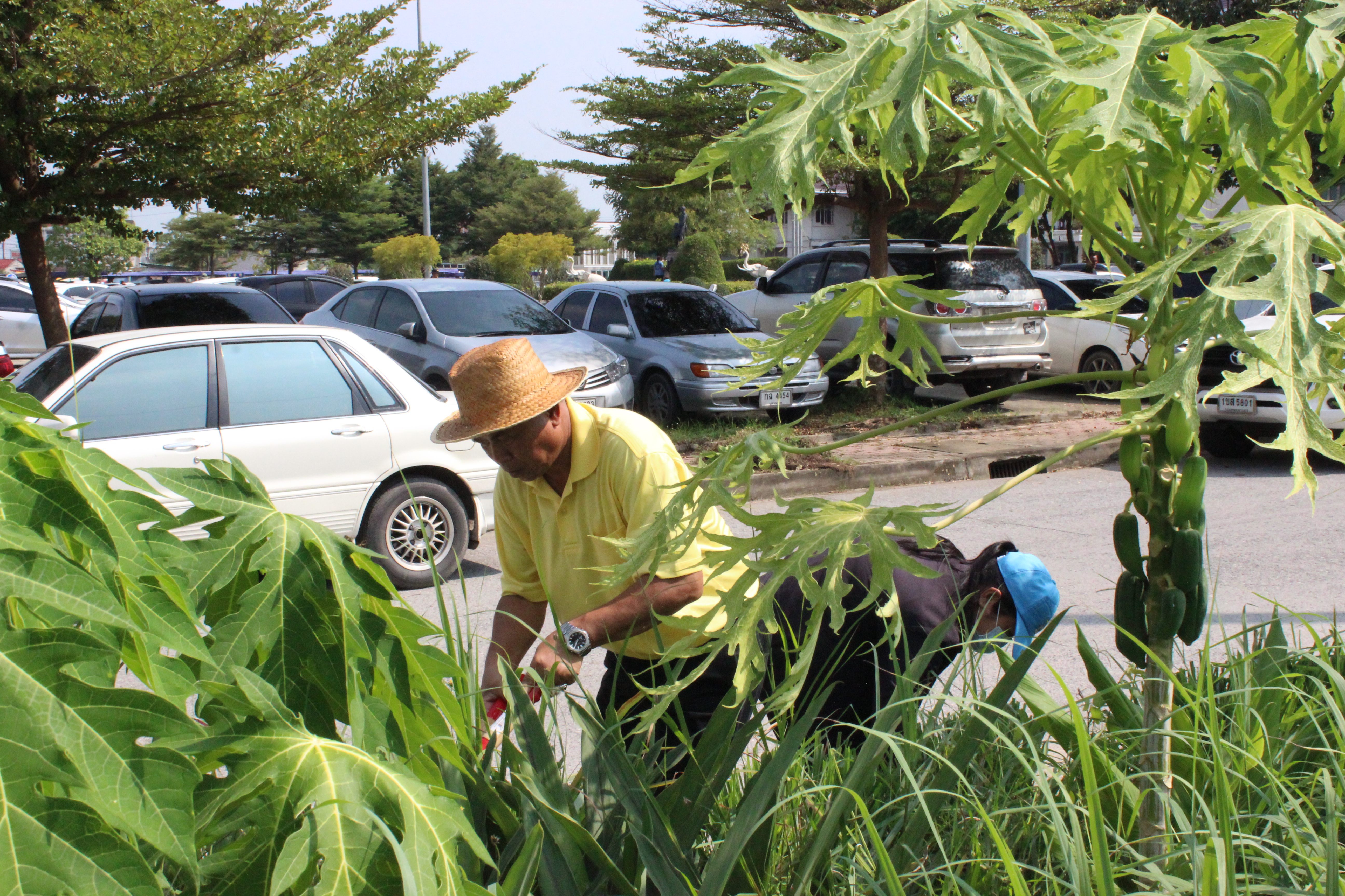 …พช.นครนายก ร่วมกิจกรรม Big Cleaning day
