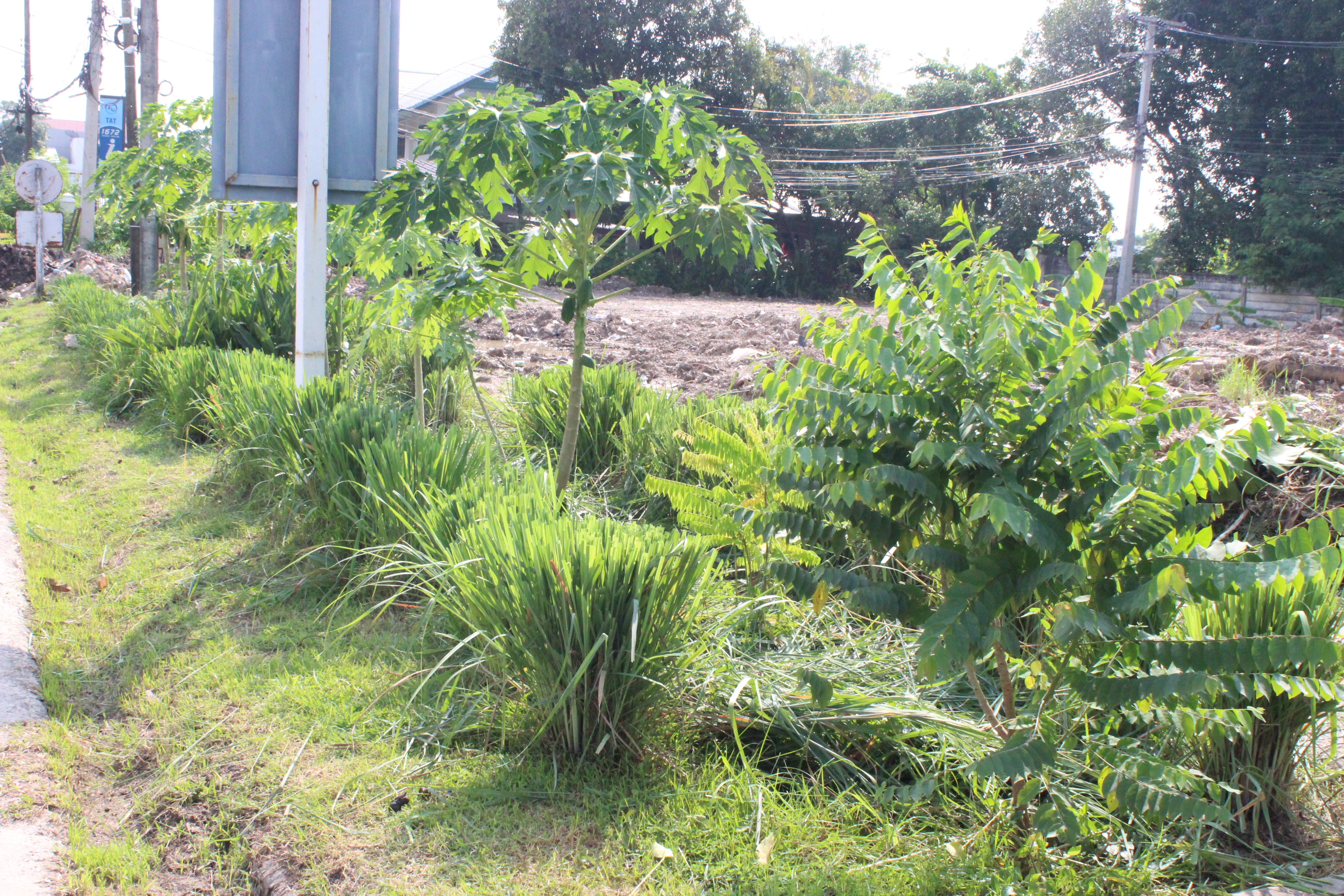 …พช.นครนายก ร่วมกิจกรรม Big Cleaning day