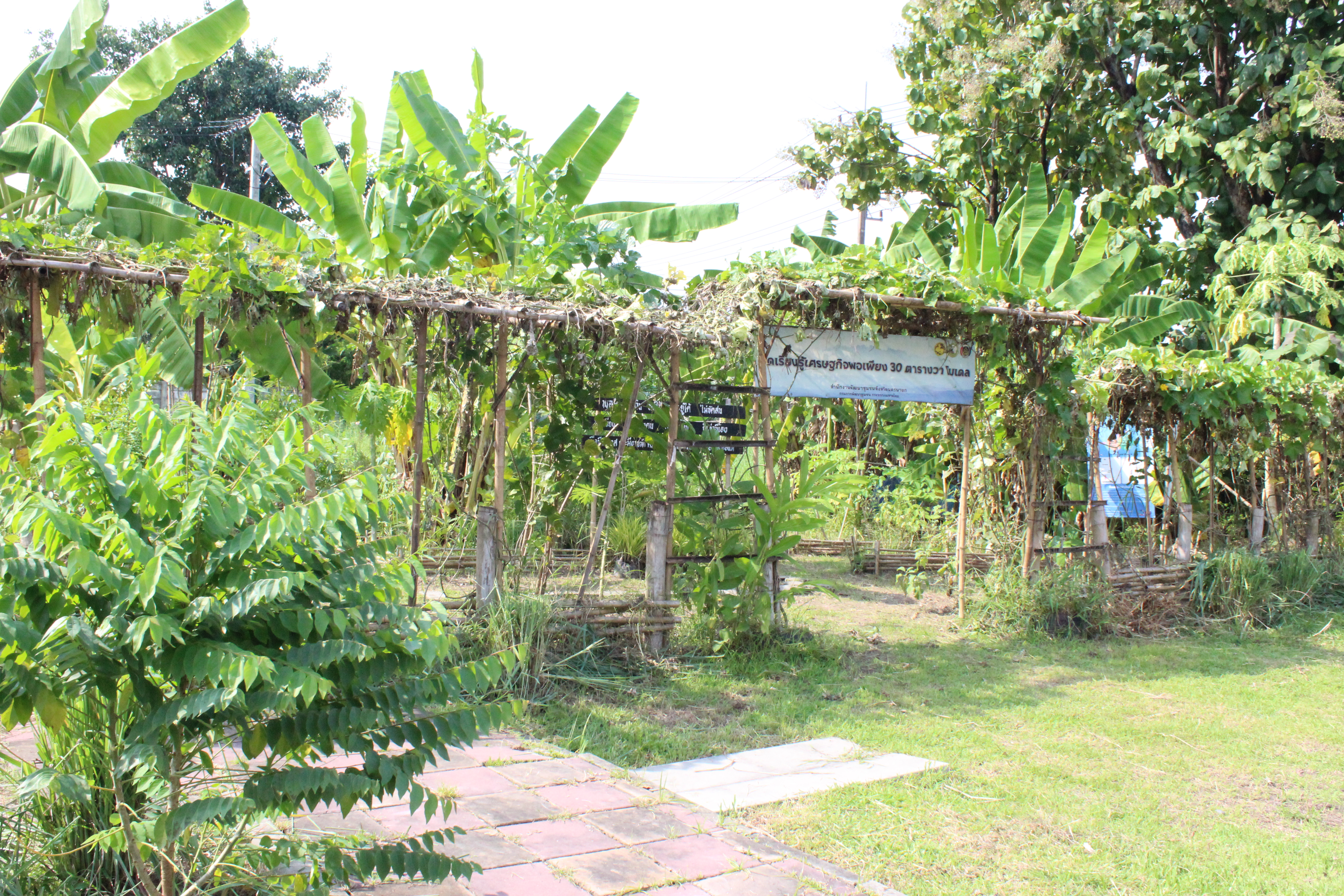 …พช.นครนายก ร่วมกิจกรรม Big Cleaning day