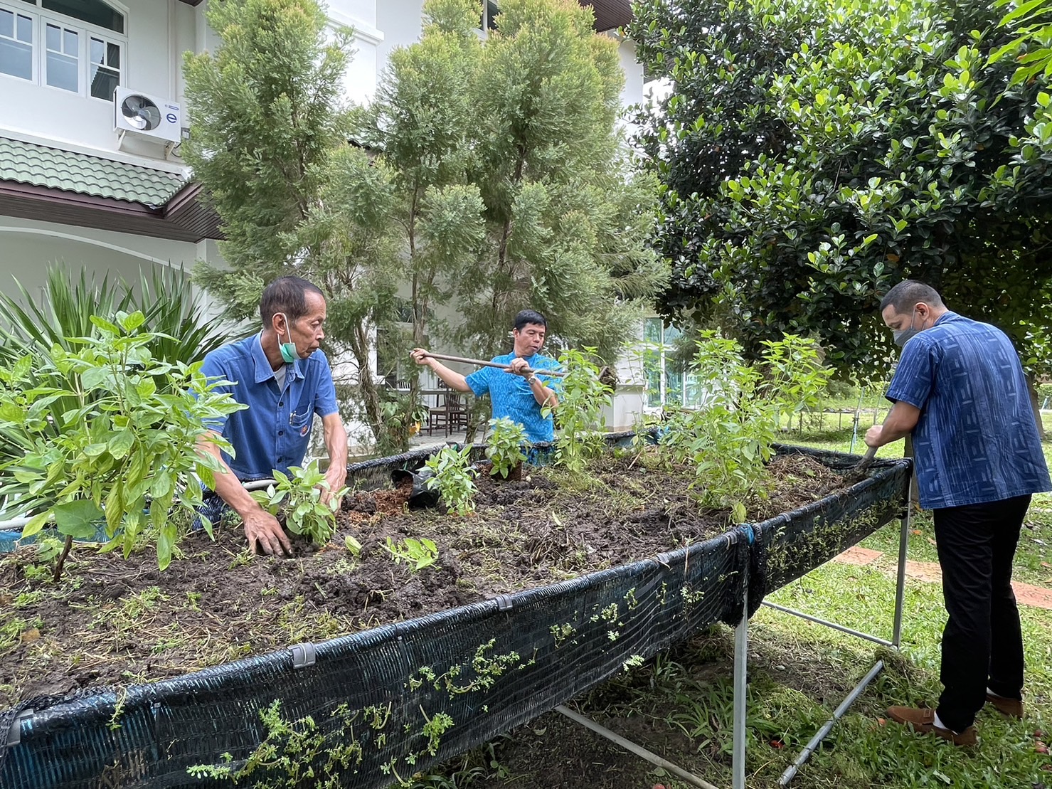 พช.ลงพื้นที่ปรับปรุง “ที่ว่างสร้างอาหาร” ณ จวนผู้ว่าราชการจังหวัดนครนายก