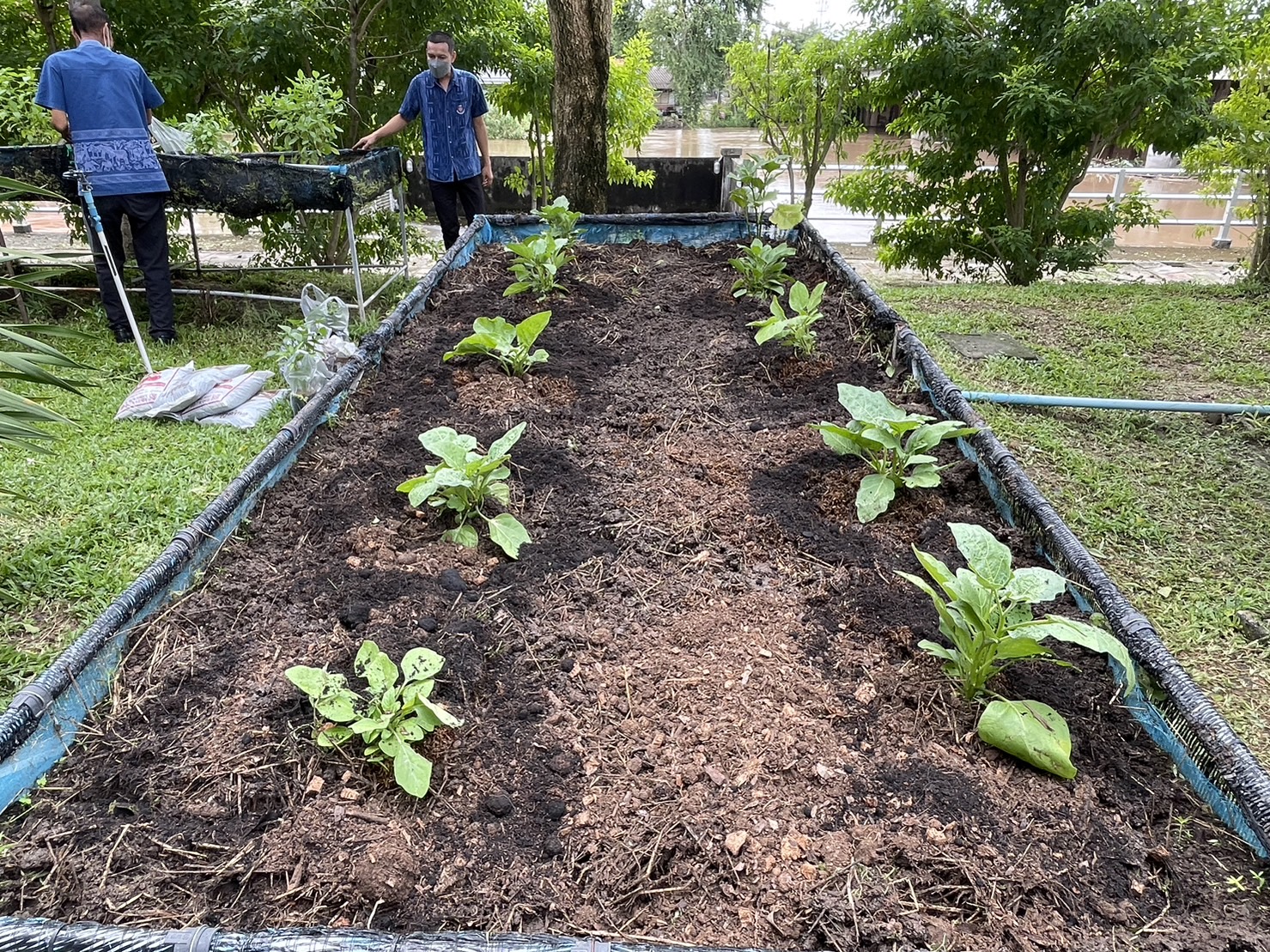 พช.ลงพื้นที่ปรับปรุง “ที่ว่างสร้างอาหาร” ณ จวนผู้ว่าราชการจังหวัดนครนายก